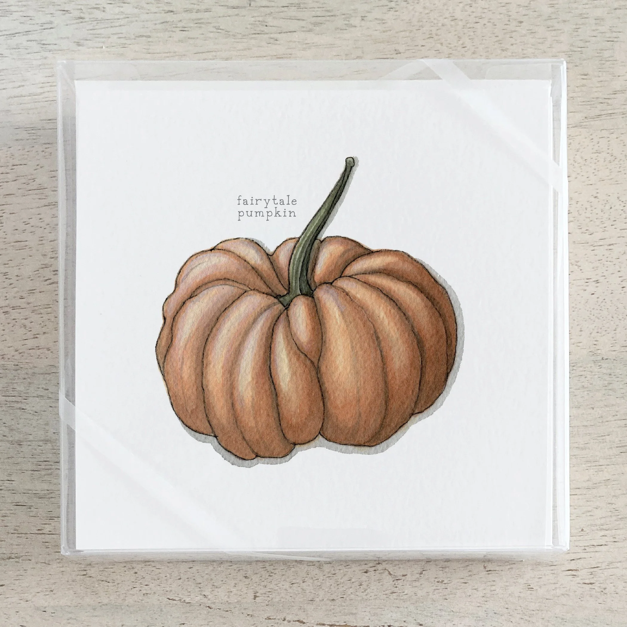 Shop_Box Set_Pumpkins.jpg