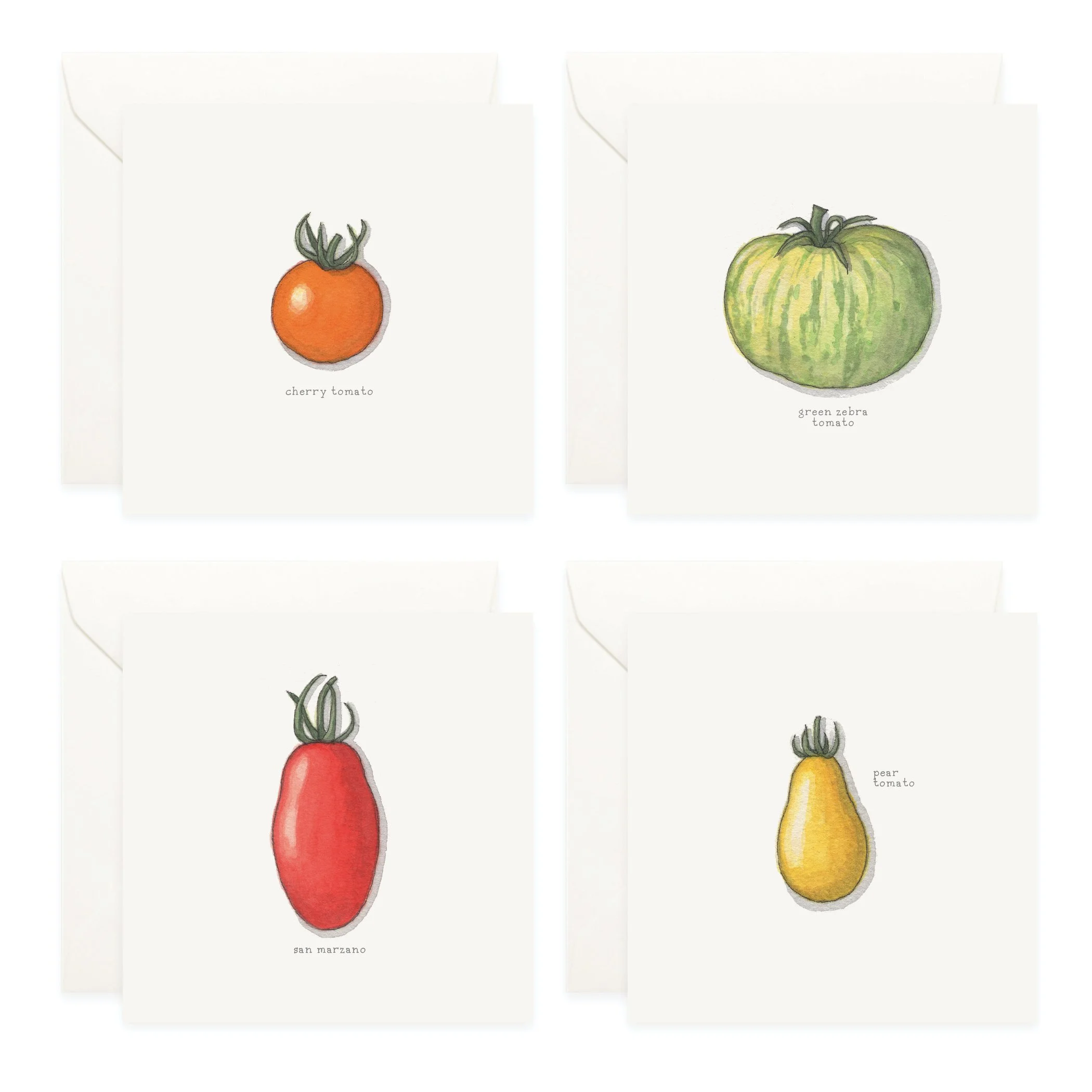 Shop_Box Set_Squash_Tomatoes4.jpg