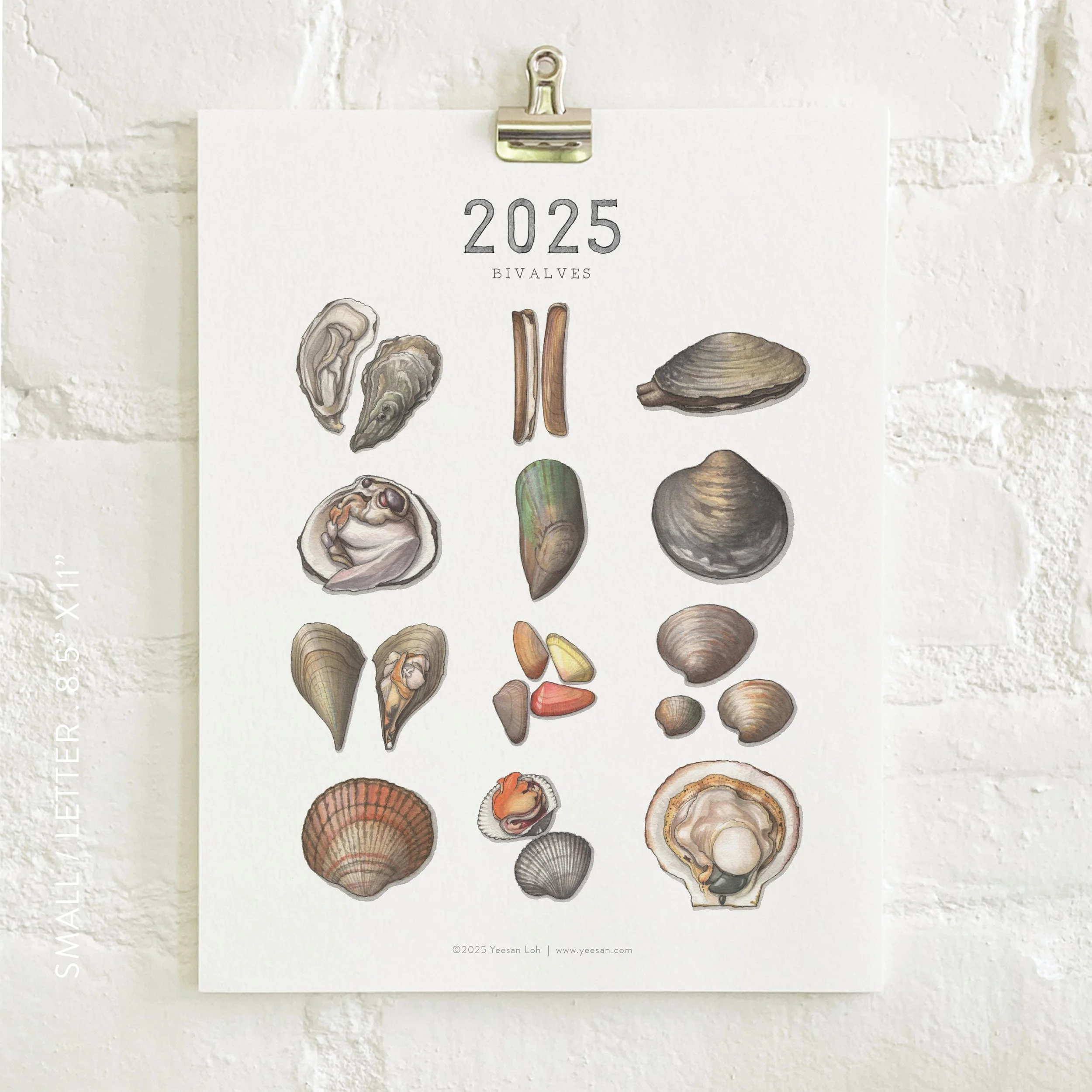 2025_shop_Calendars_Bivalves6.jpg