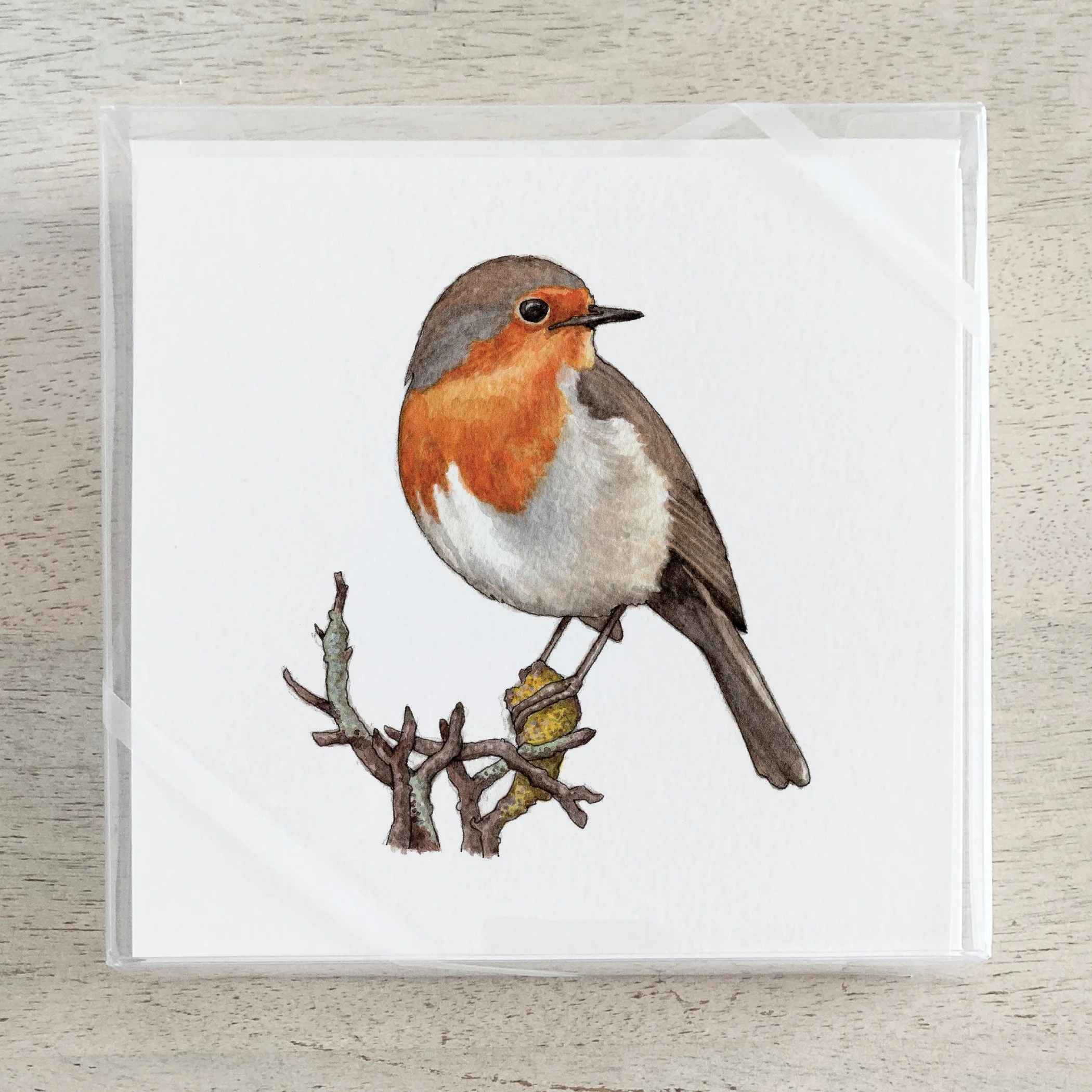 Shop_Box Set_Robin.jpg