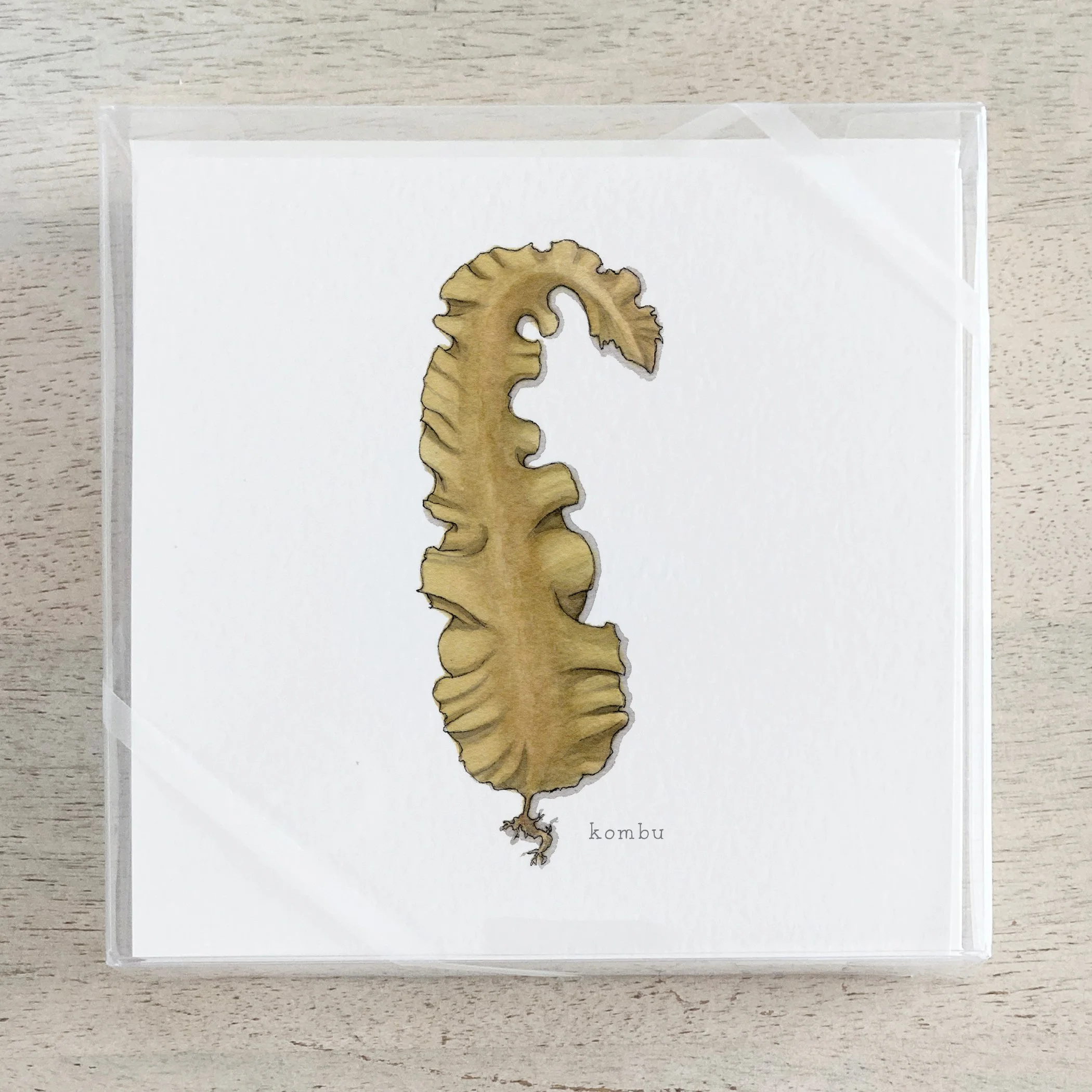 Shop_Box Set_Seaweed.jpg