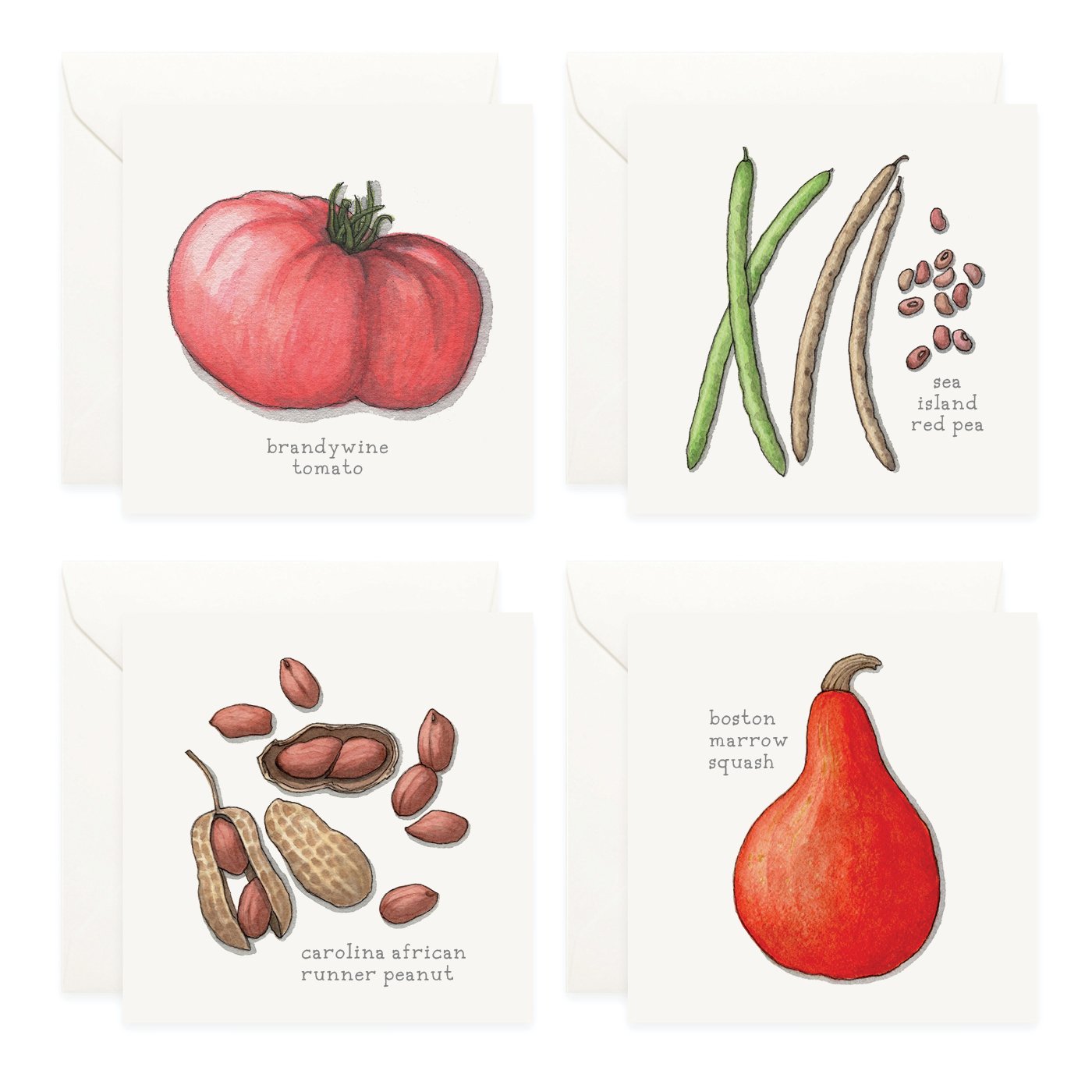 Shop_Mini Cards_SlowFood20263.jpg