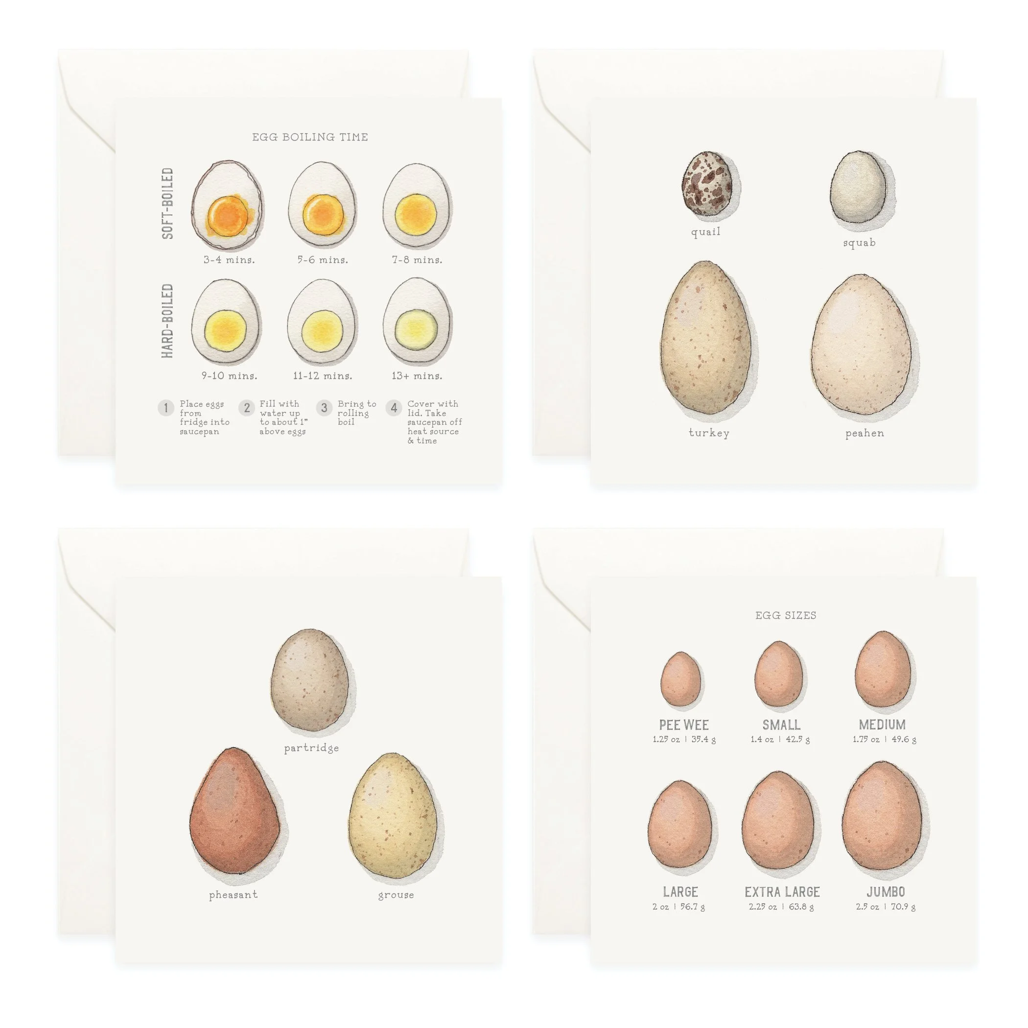 Shop_Box Set_Eggs5.jpg
