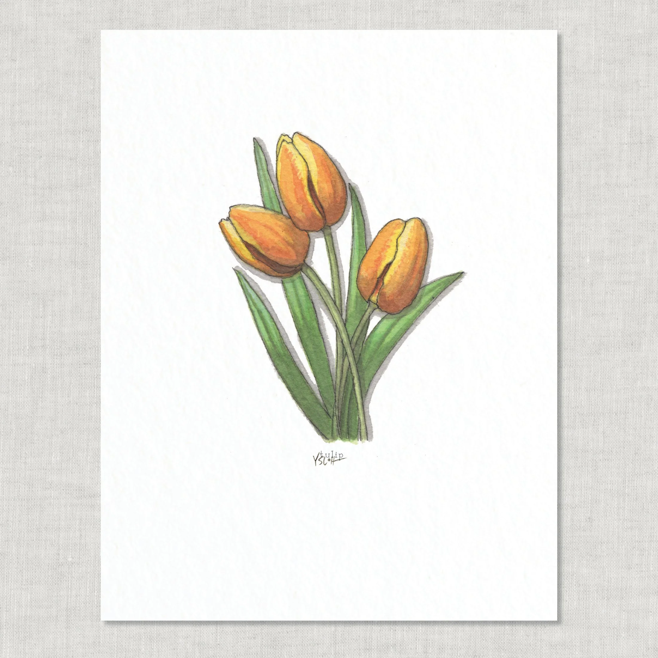 Shop_8.5x11_print_Edible Flowers27.jpg