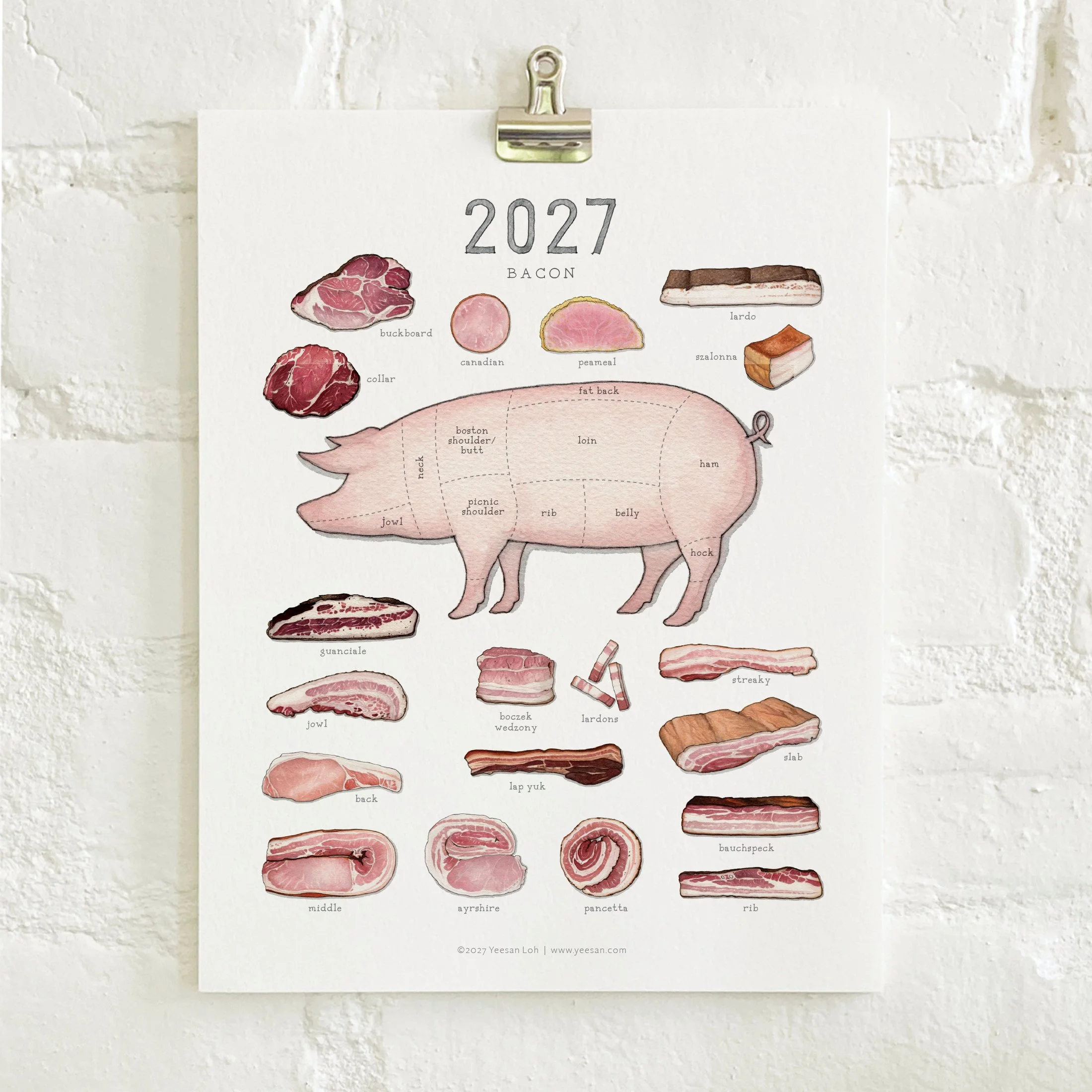 2027_shop_CAL_Bacon6.jpg