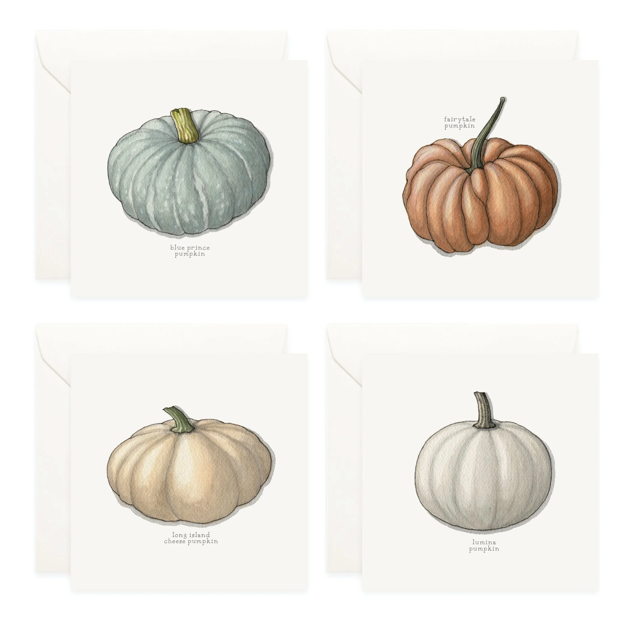 Shop_Box Set_Pumpkins3.jpg