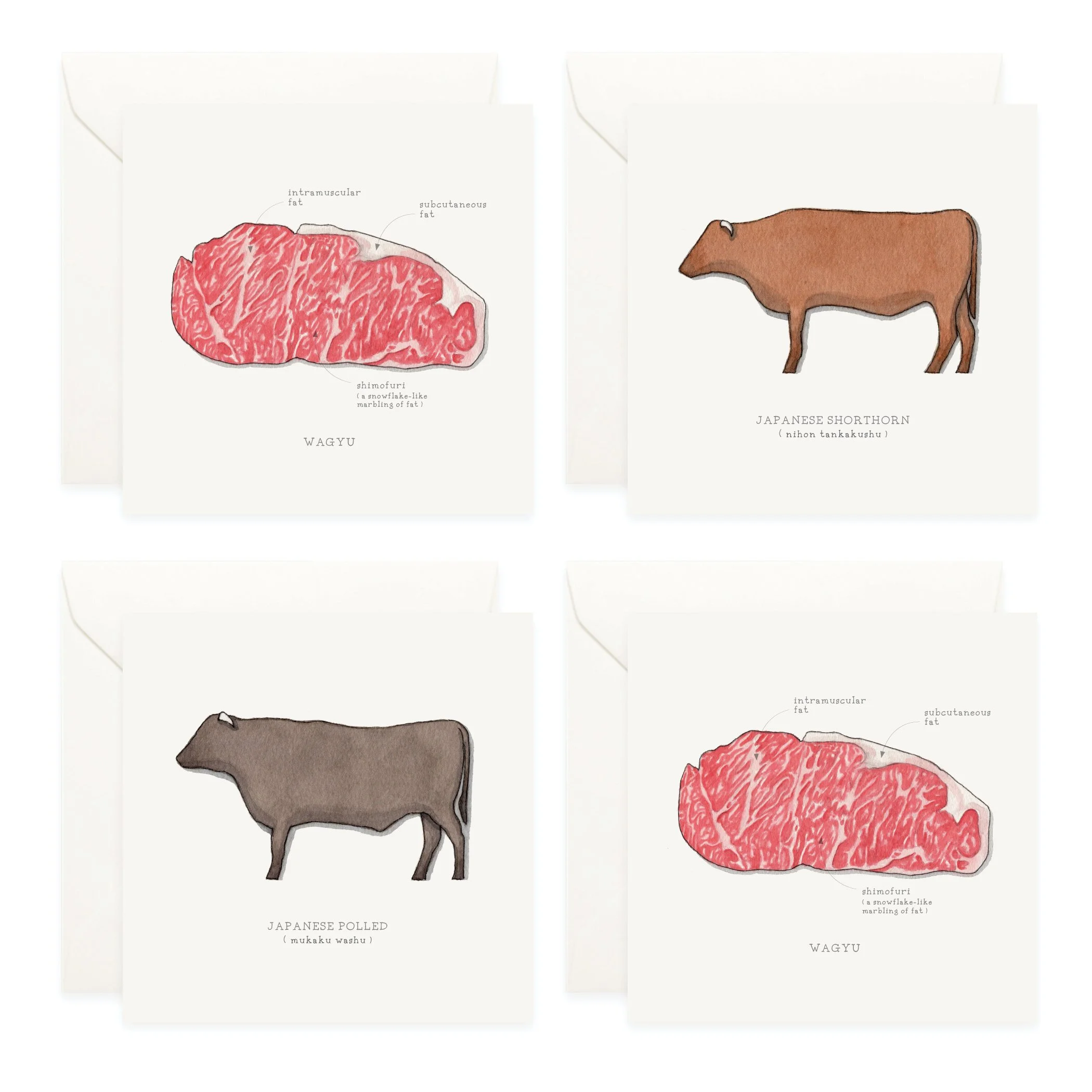 Shop_Box Set_Wagyu5.jpg