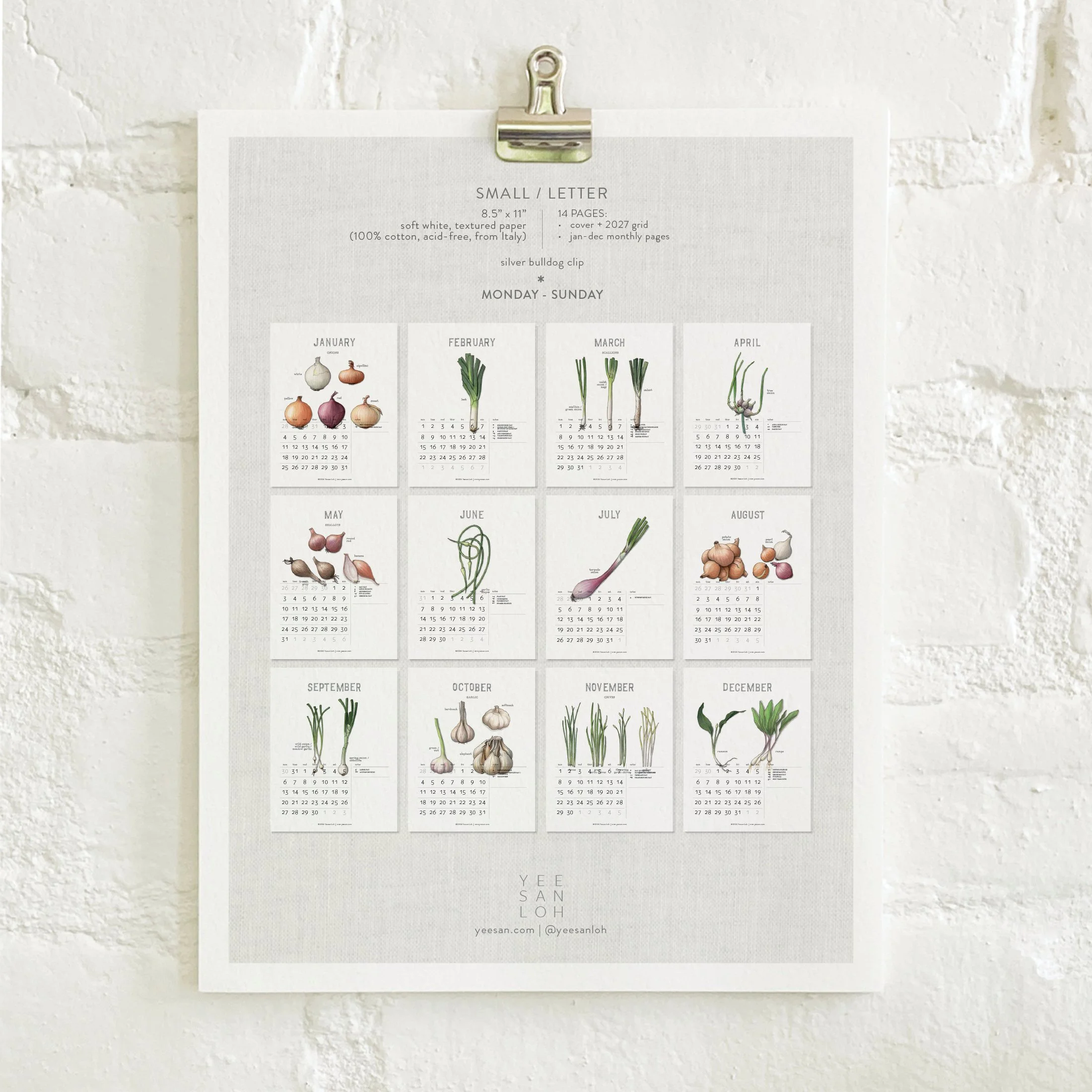 2027_shop_CAL_Alliums9.jpg