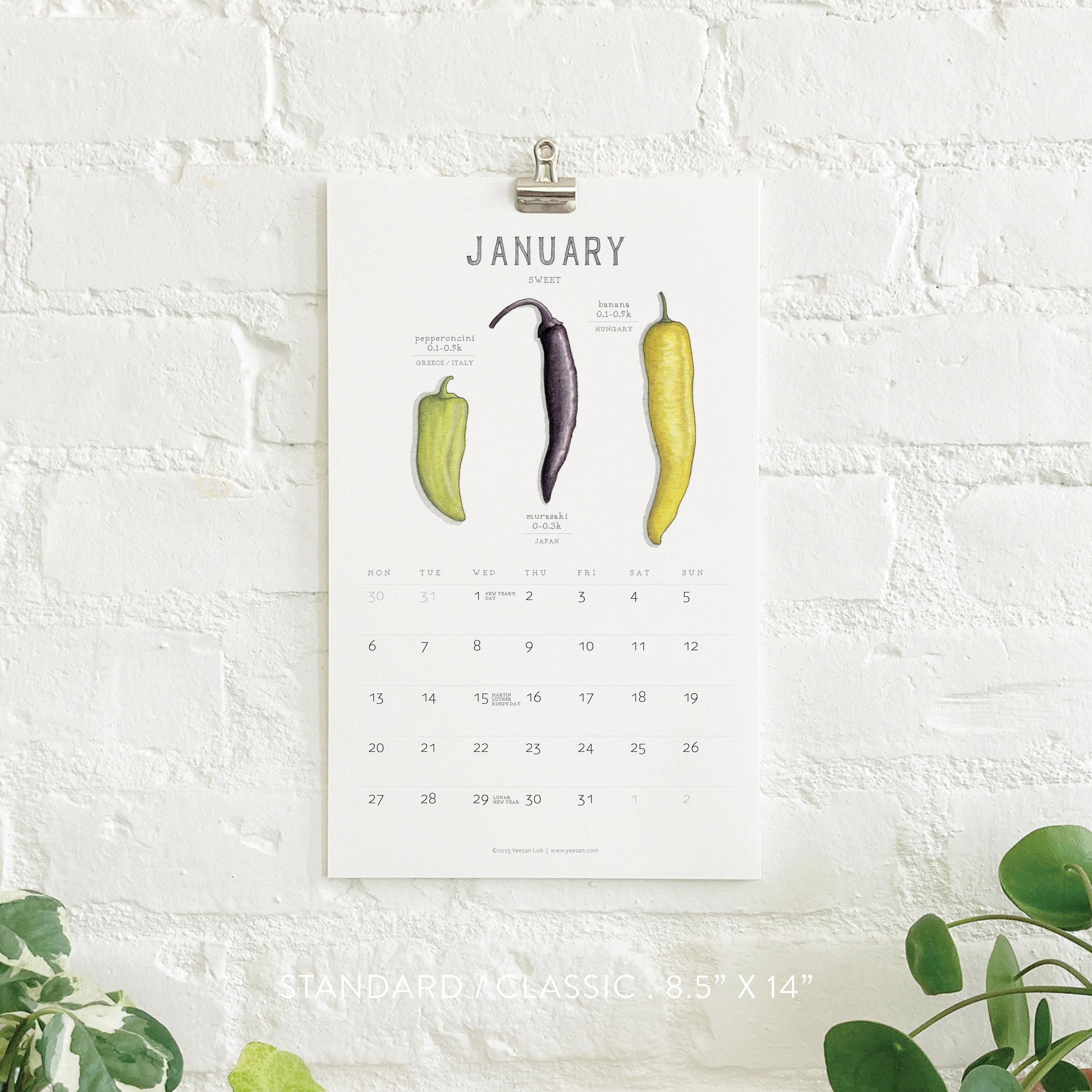 2025_shop_Calendars_Cheesecakes3.jpg