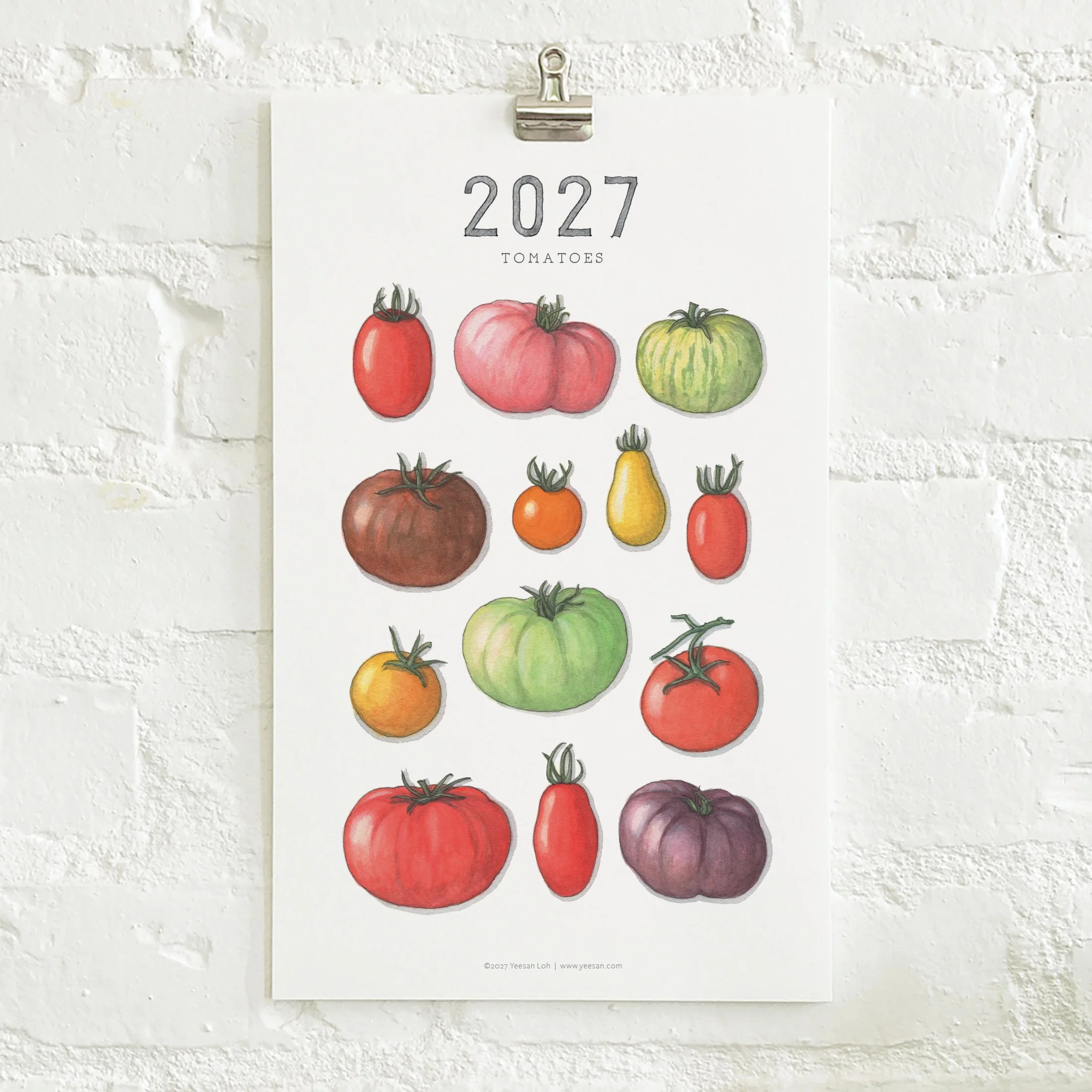 2027_shop_CAL_Tomatoes2.jpg