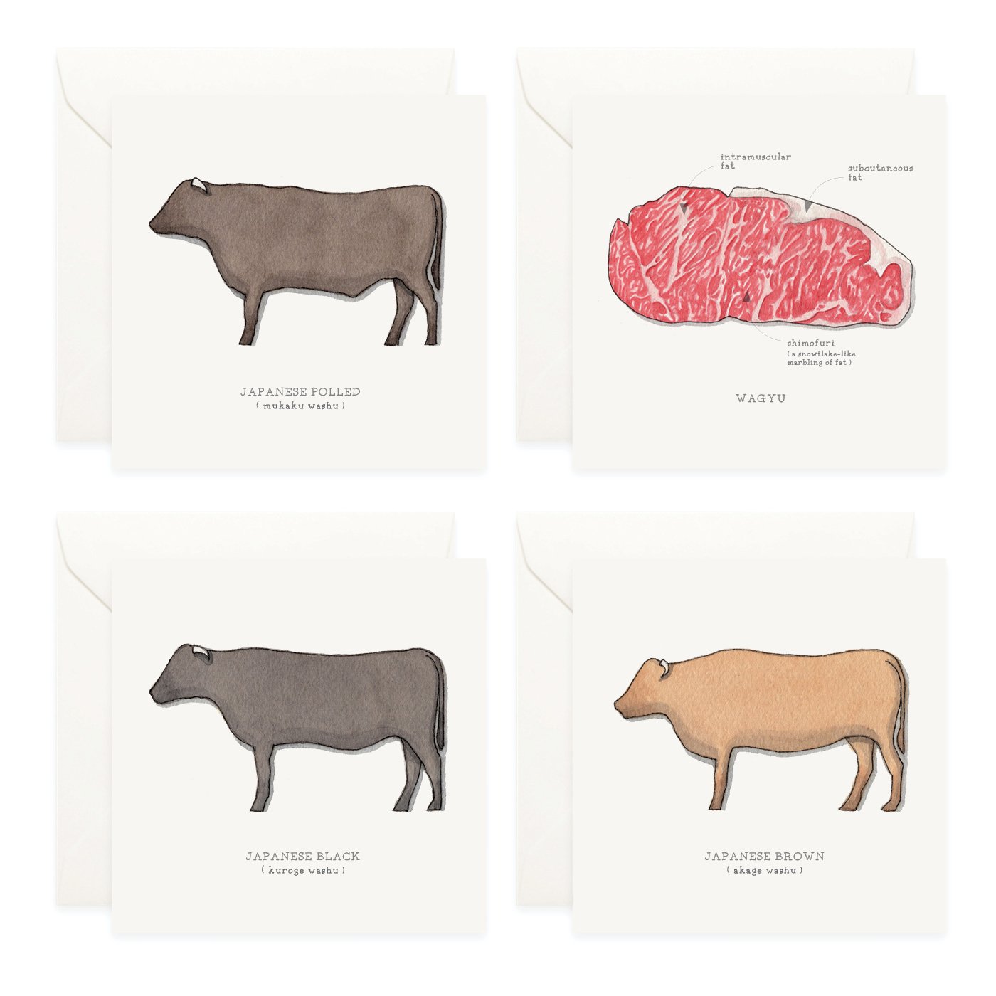 Shop_Box Set_Wagyu4.jpg