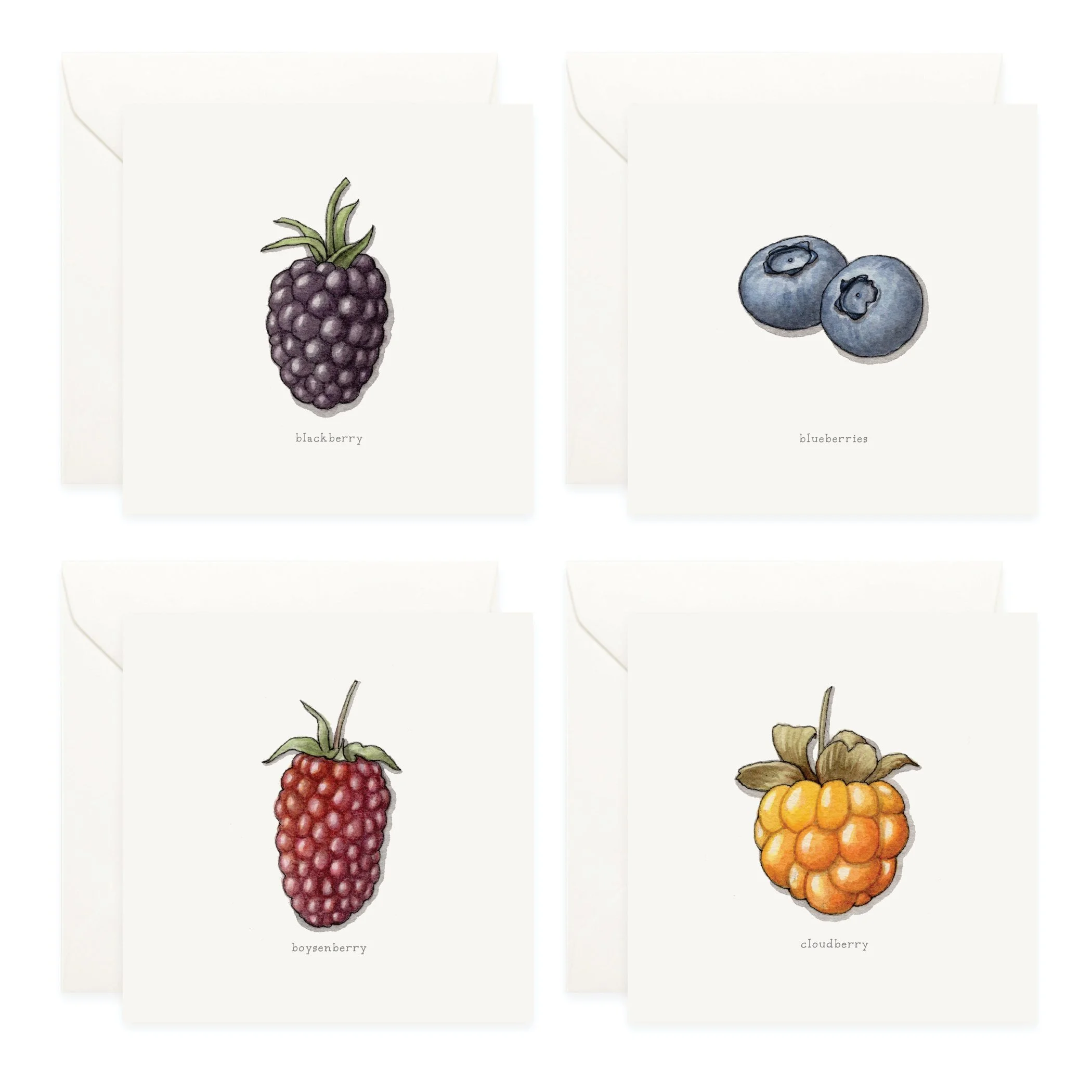 Shop_Box Set_Berries3.jpg