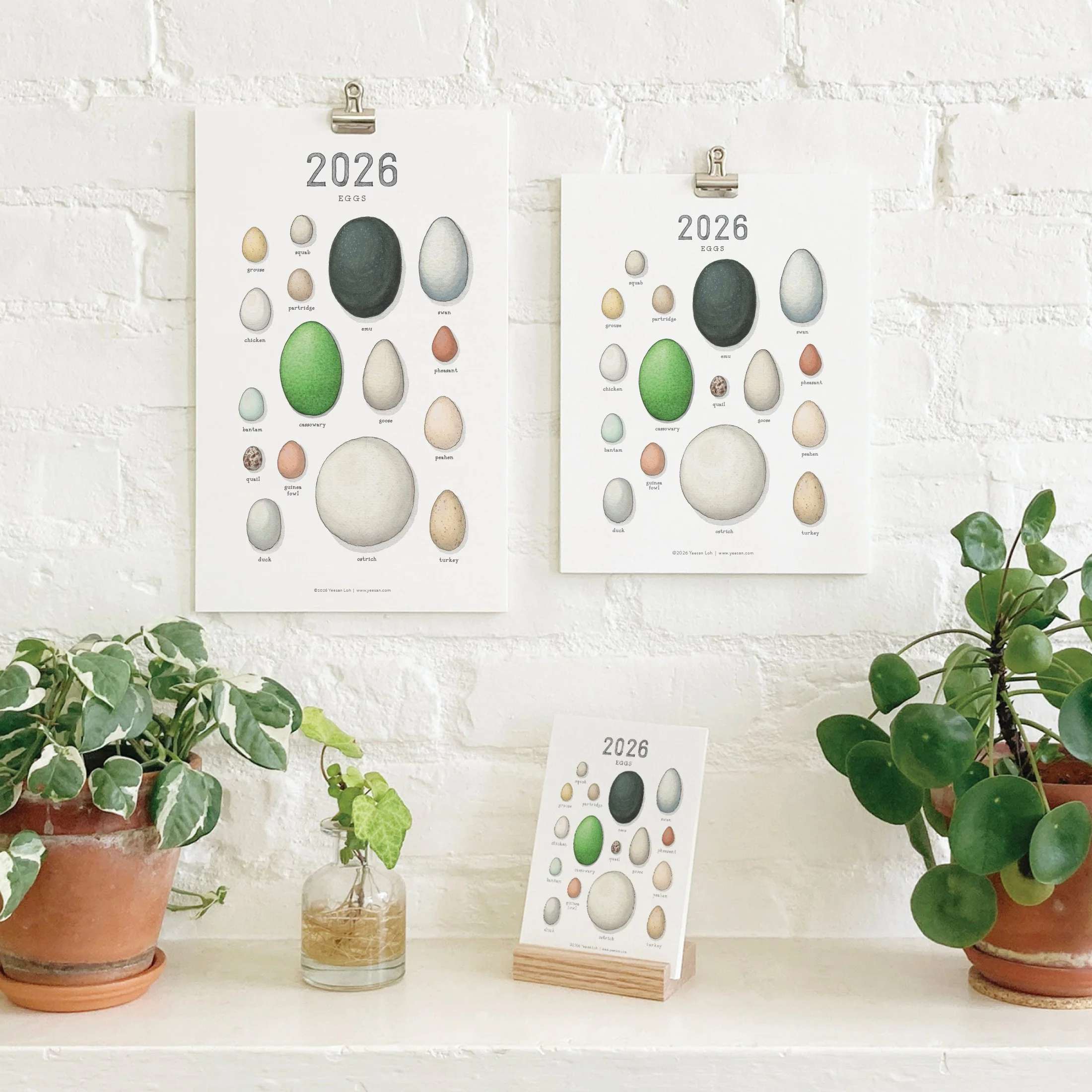 2026_shop_Calendars_Eggs.jpg