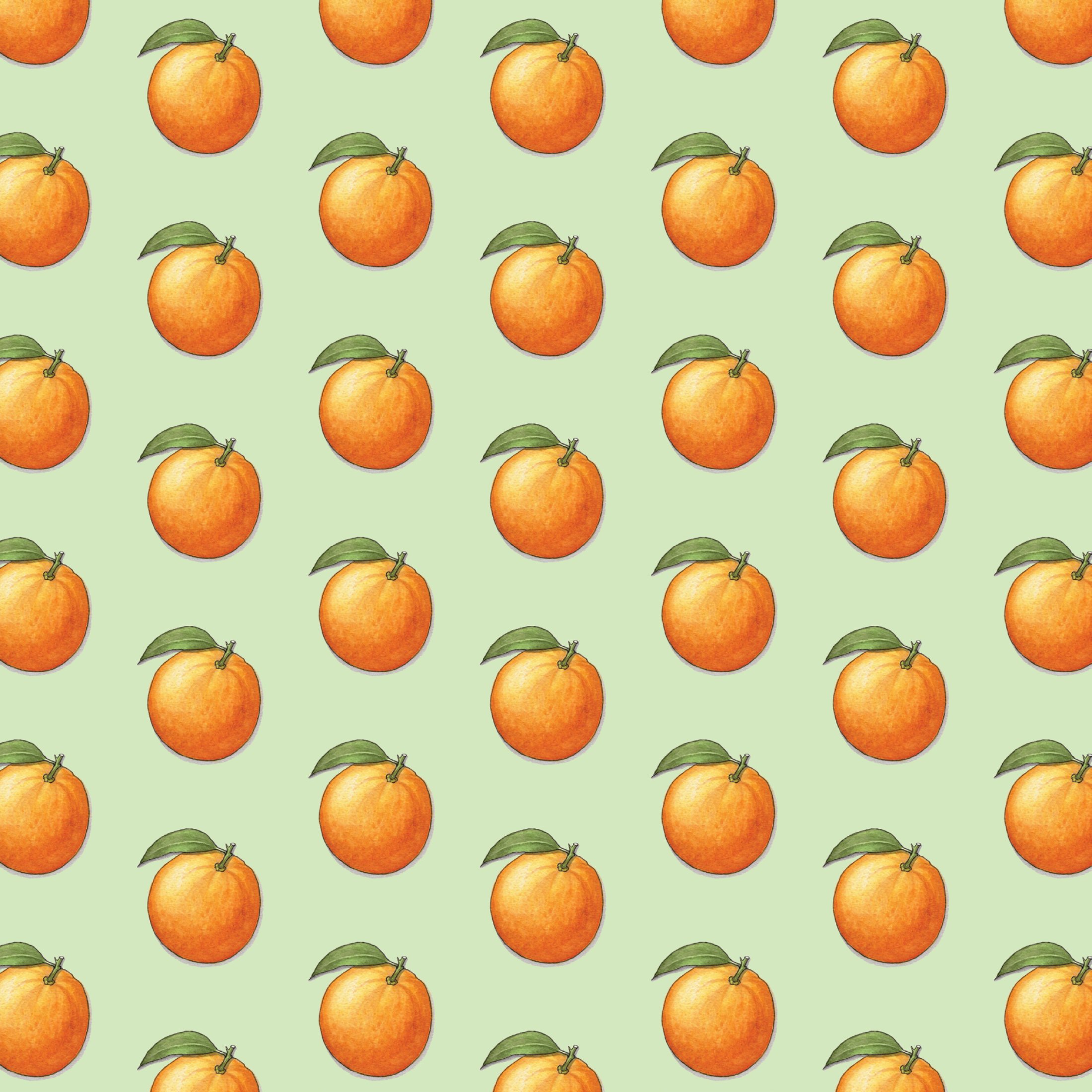 Shop_GW_Oranges5.jpg