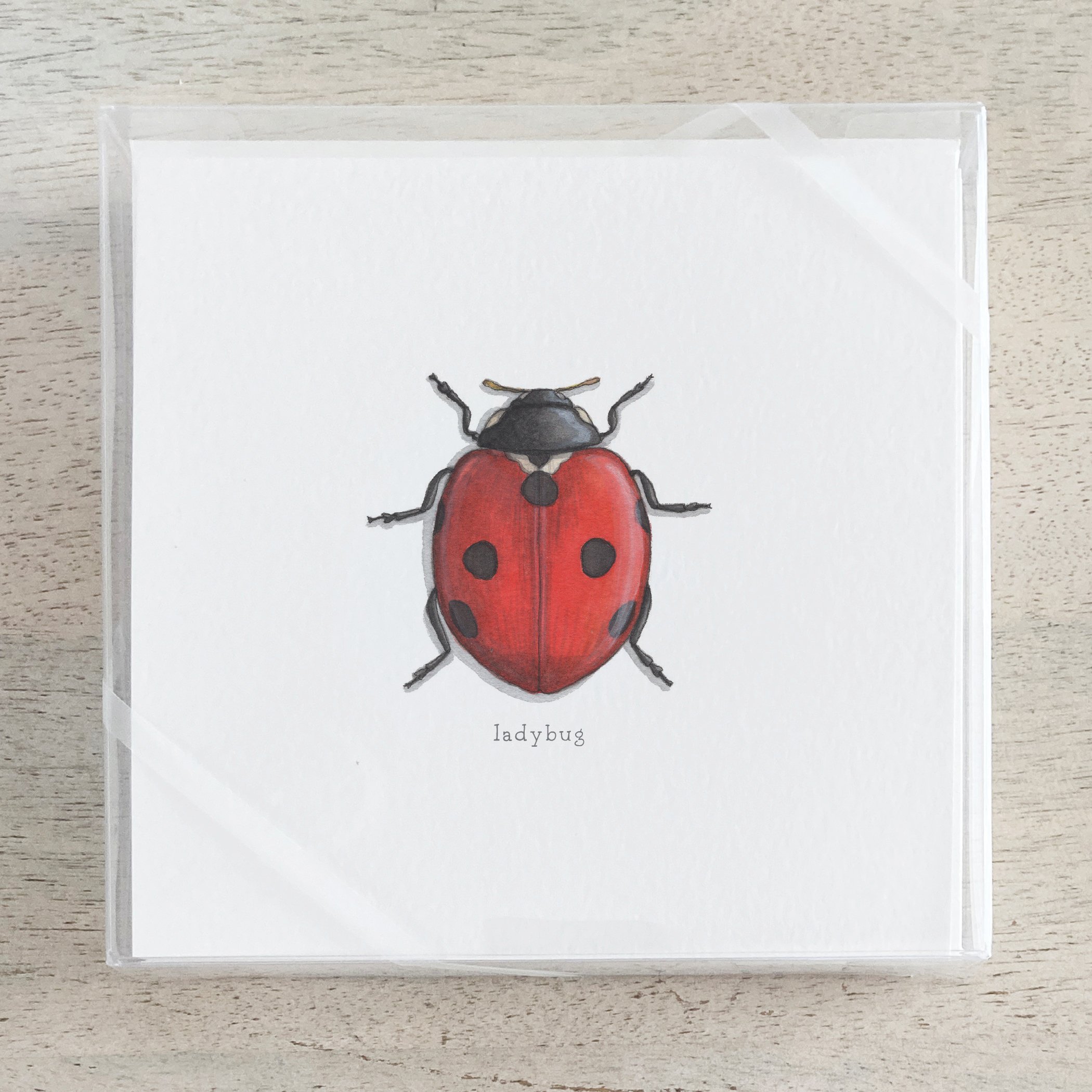 Shop_Box Set_Lucky Charms.jpg