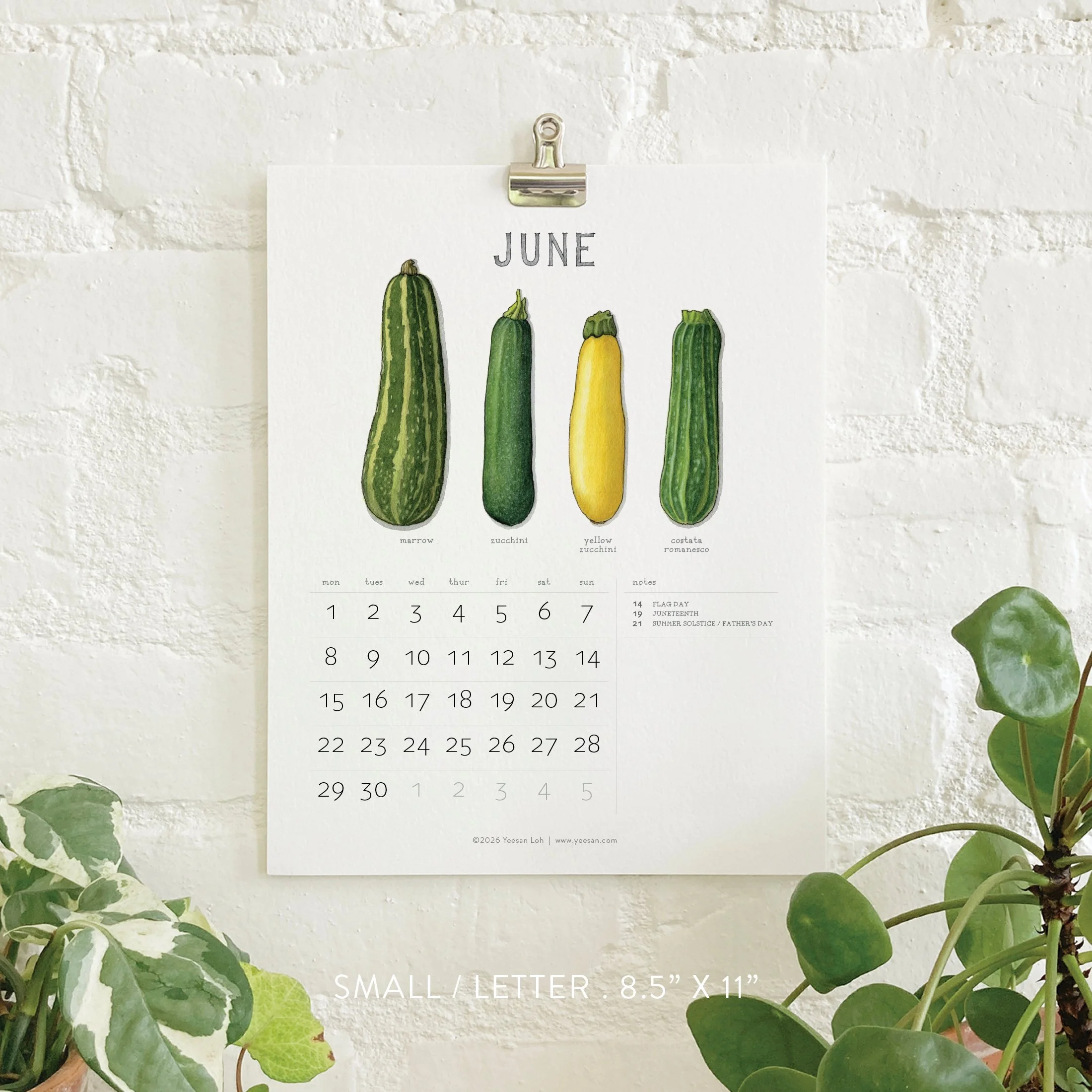 2026_shop_Calendars_Squash7.jpg