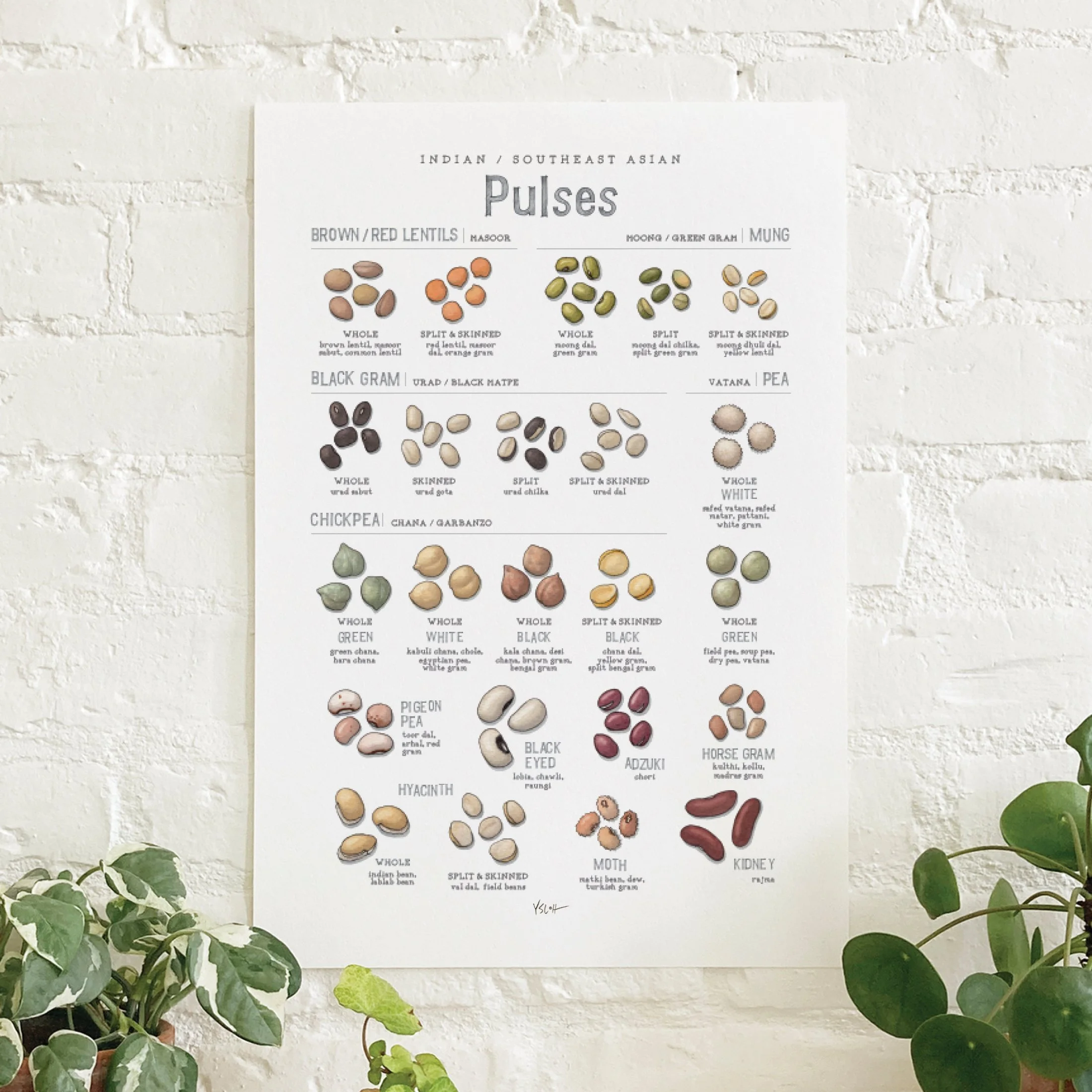 Shop_Poster_13x19_Pulses7.jpg