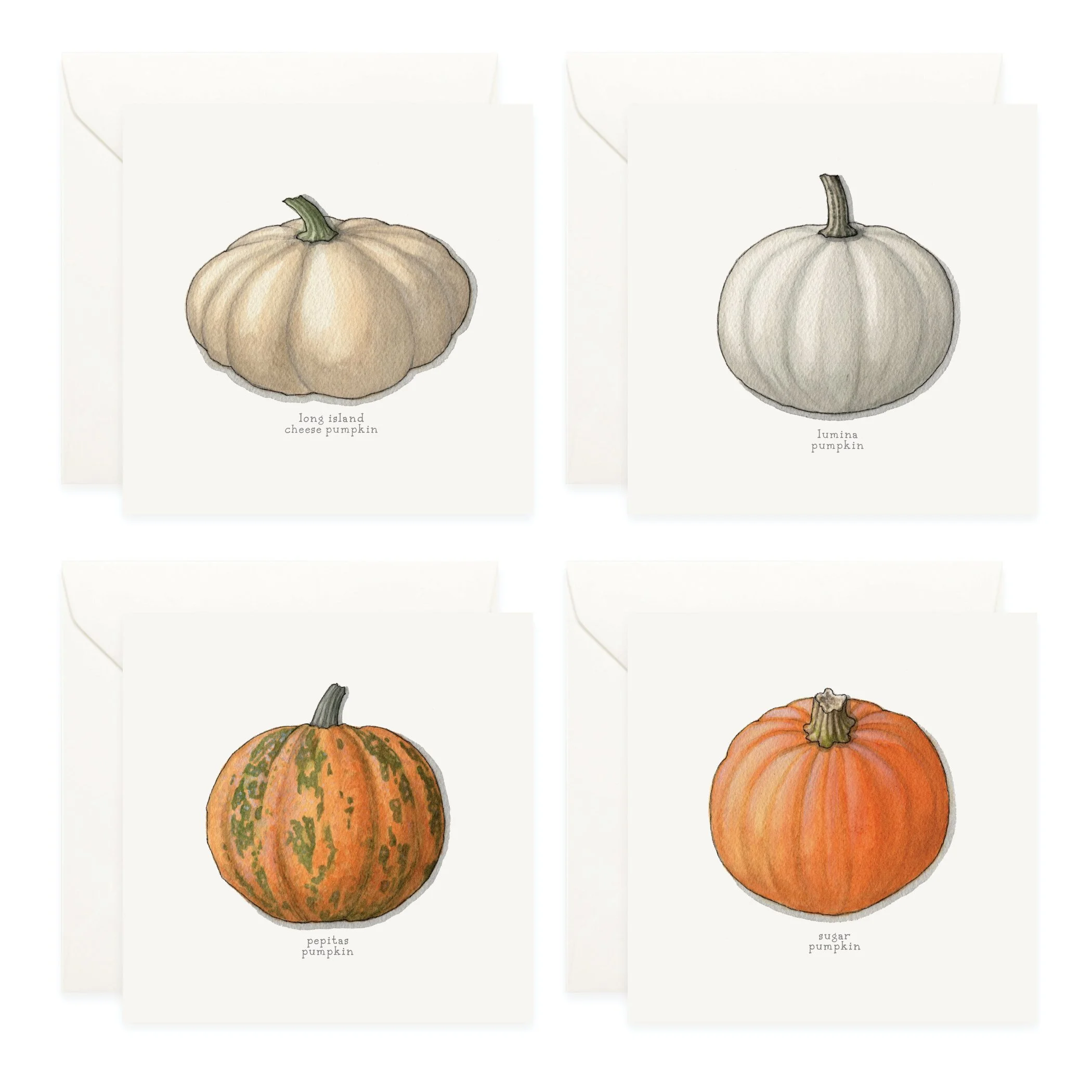 Shop_Box Set_Pumpkins5.jpg