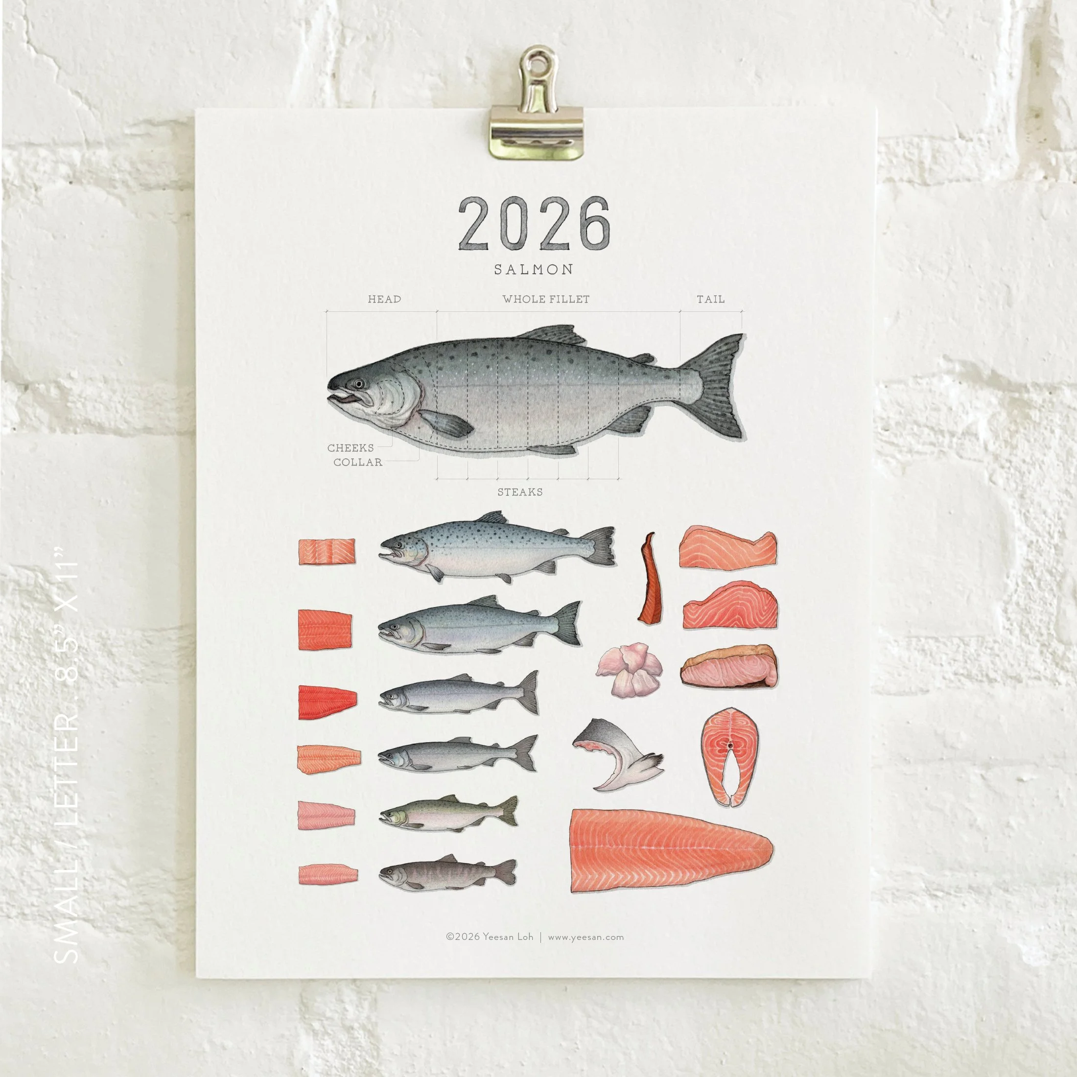2026_shop_Calendars_Salmon6.jpg