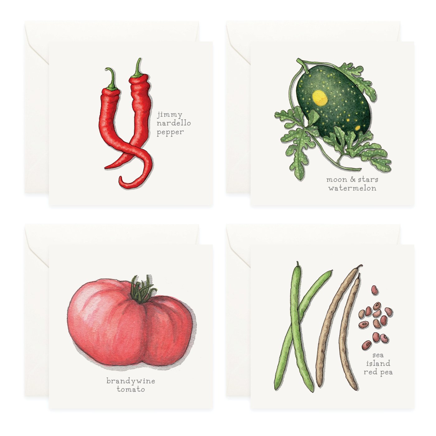 Shop_Mini Cards_SlowFood20264.jpg