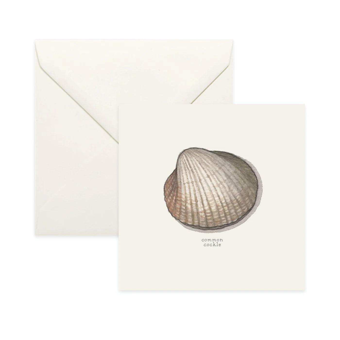 Shop_Card_Bivalves14.jpg