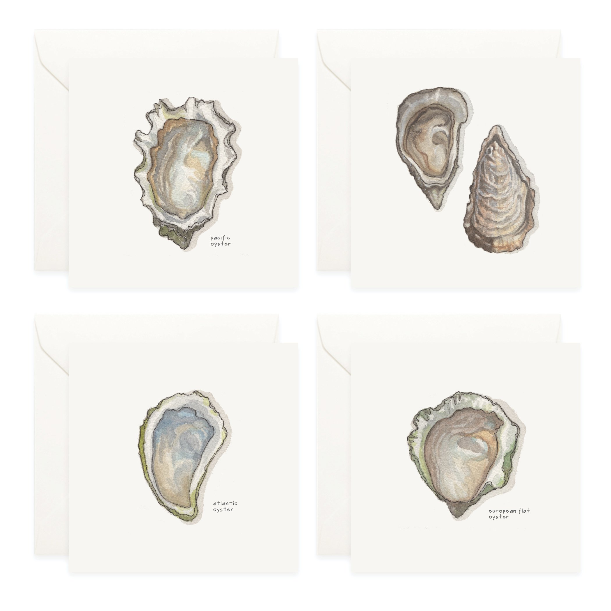 Shop_Box Set_Oysters4.jpg