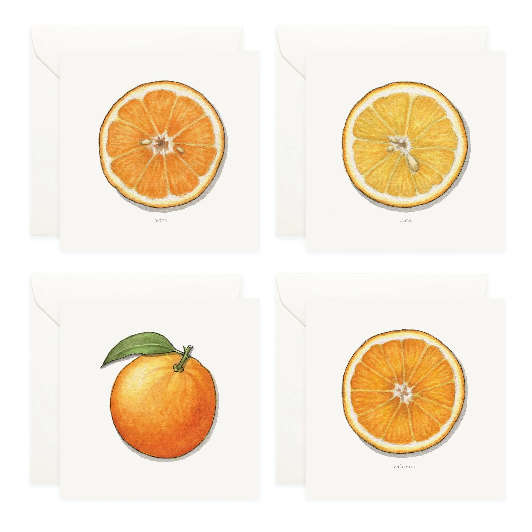 Shop_Box Set_Oranges4.jpg