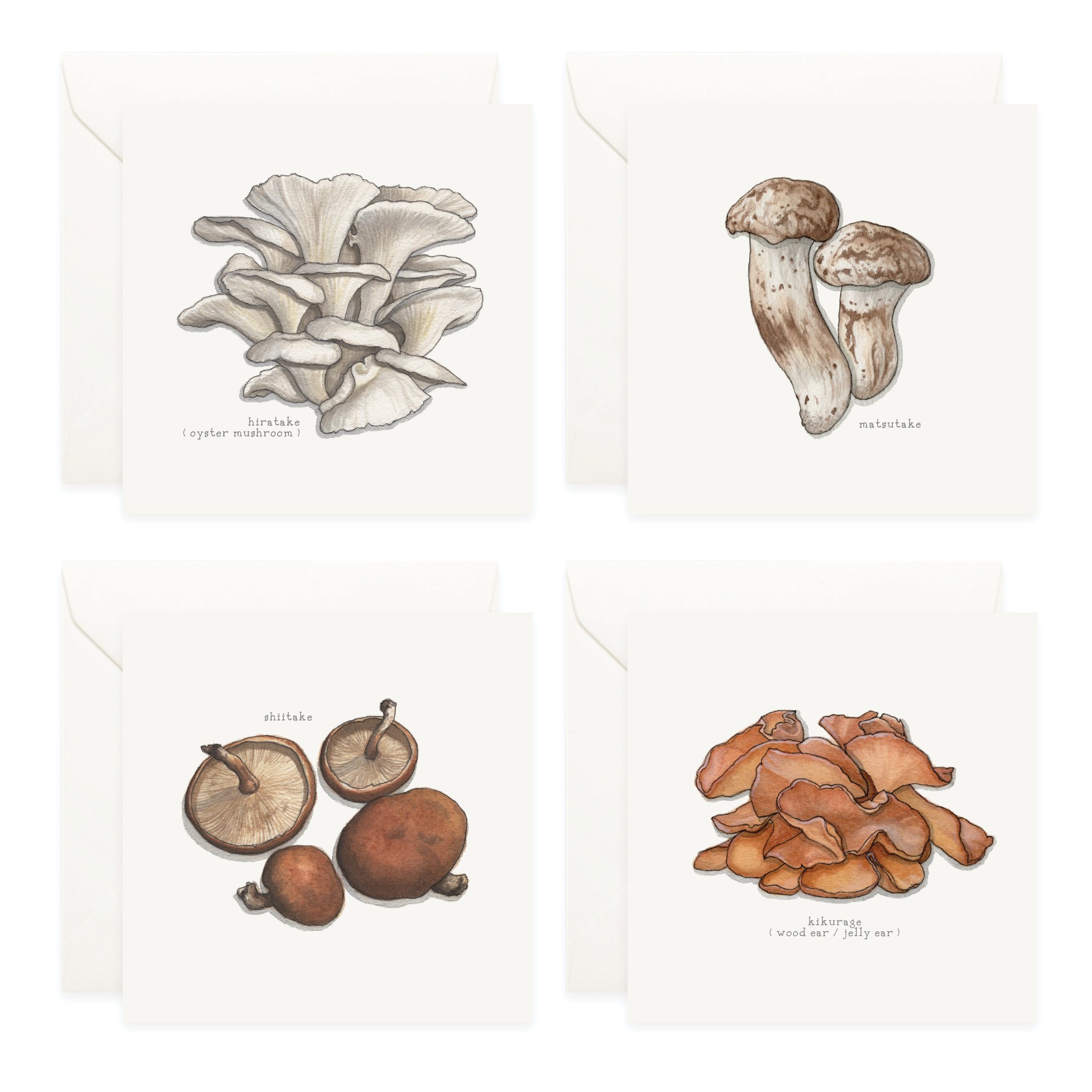 Shop_Box Set_Mushrooms_J5.jpg