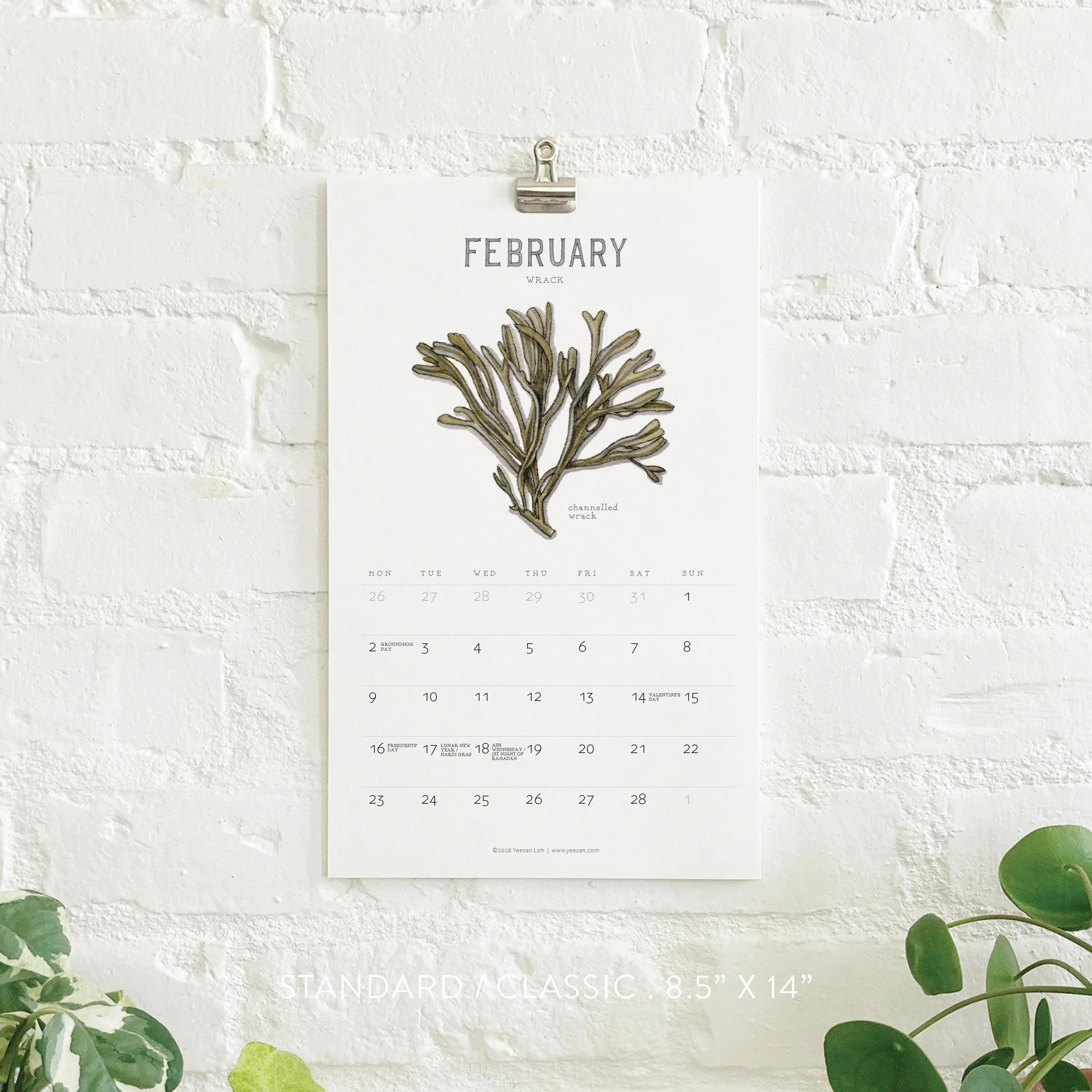2026_shop_Calendars_Seaweed4.jpg
