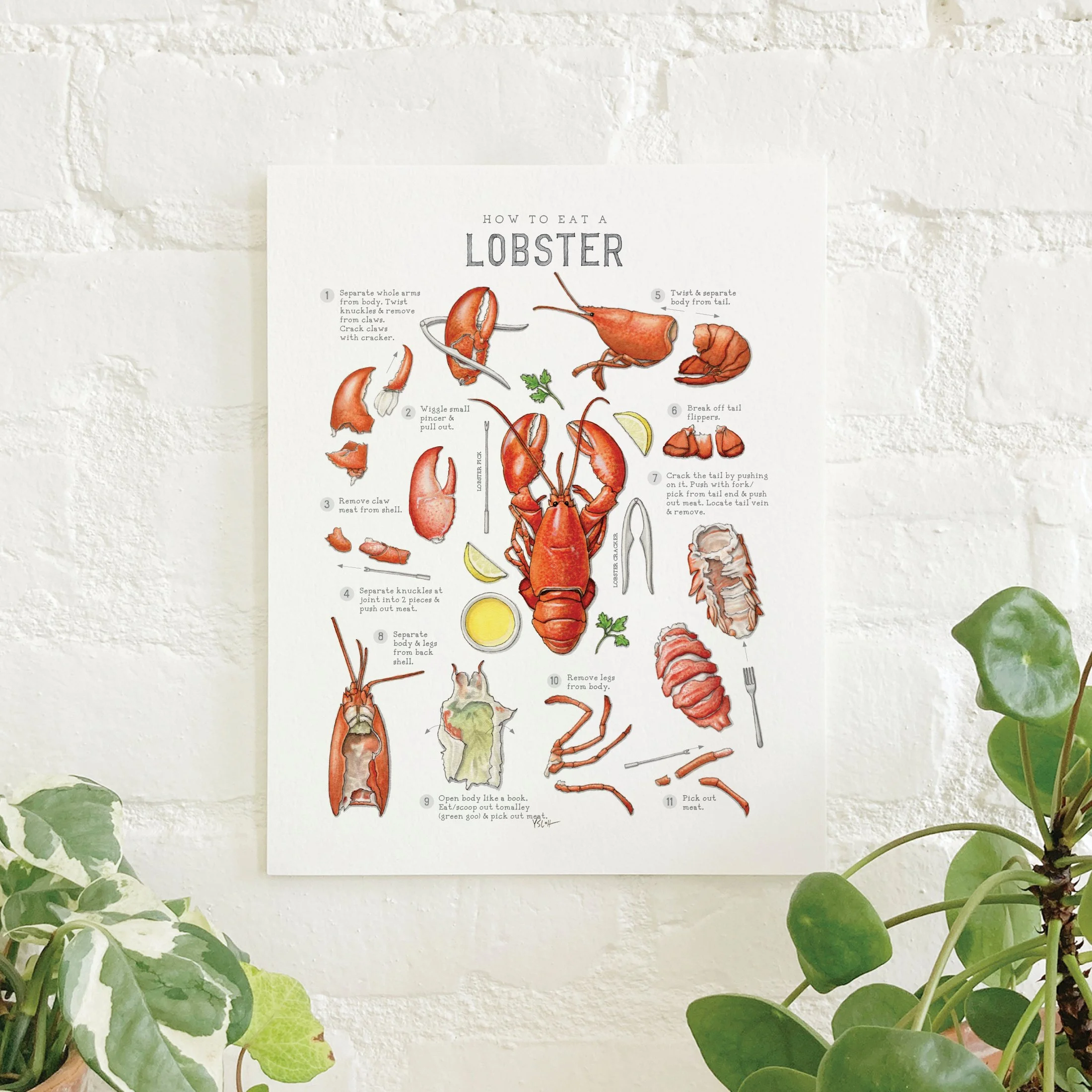 Shop_Prints_8.5x11_How To.jpg