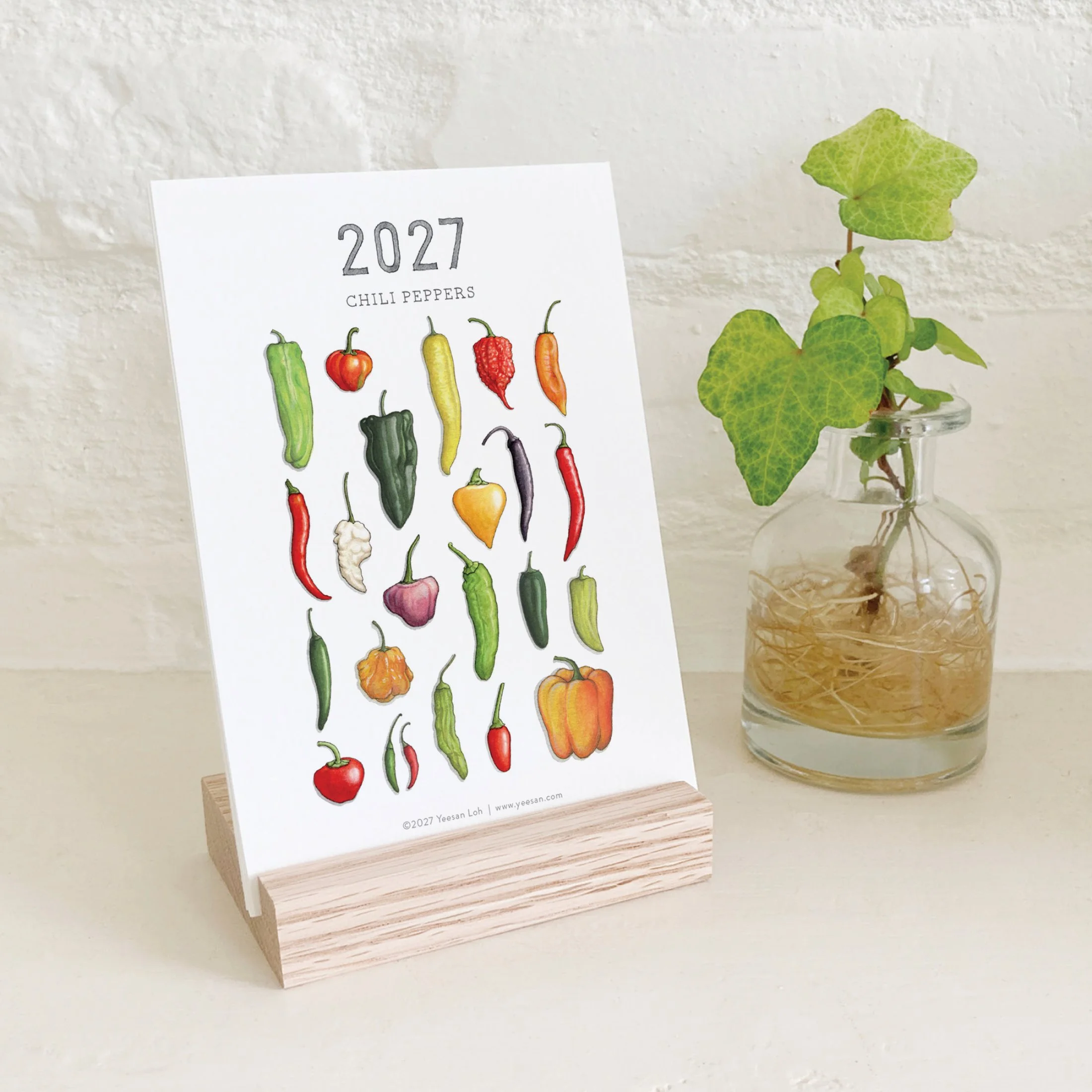 2027_shop_CAL_Chili Peppers10.jpg