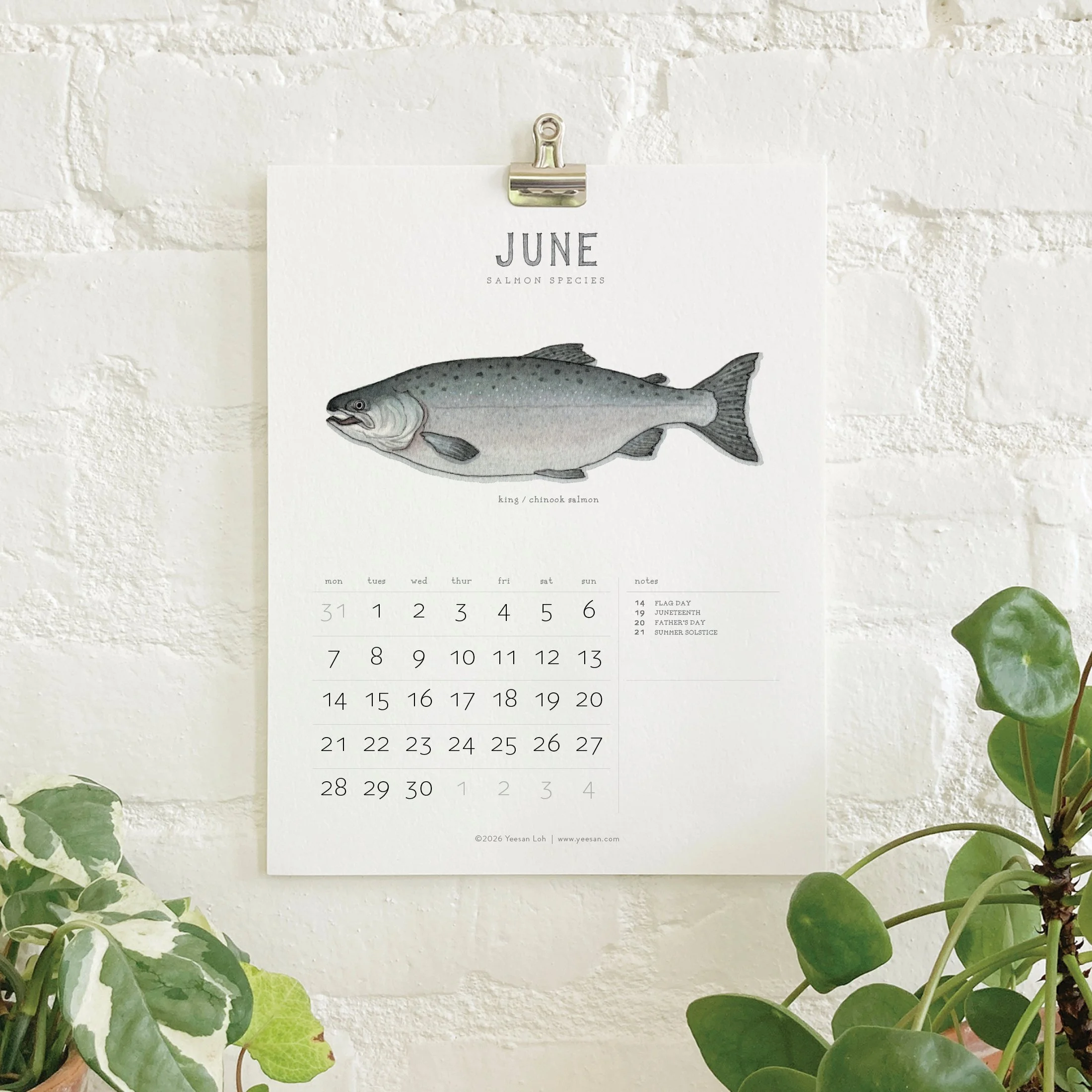 2027_shop_CAL_Salmon8.jpg