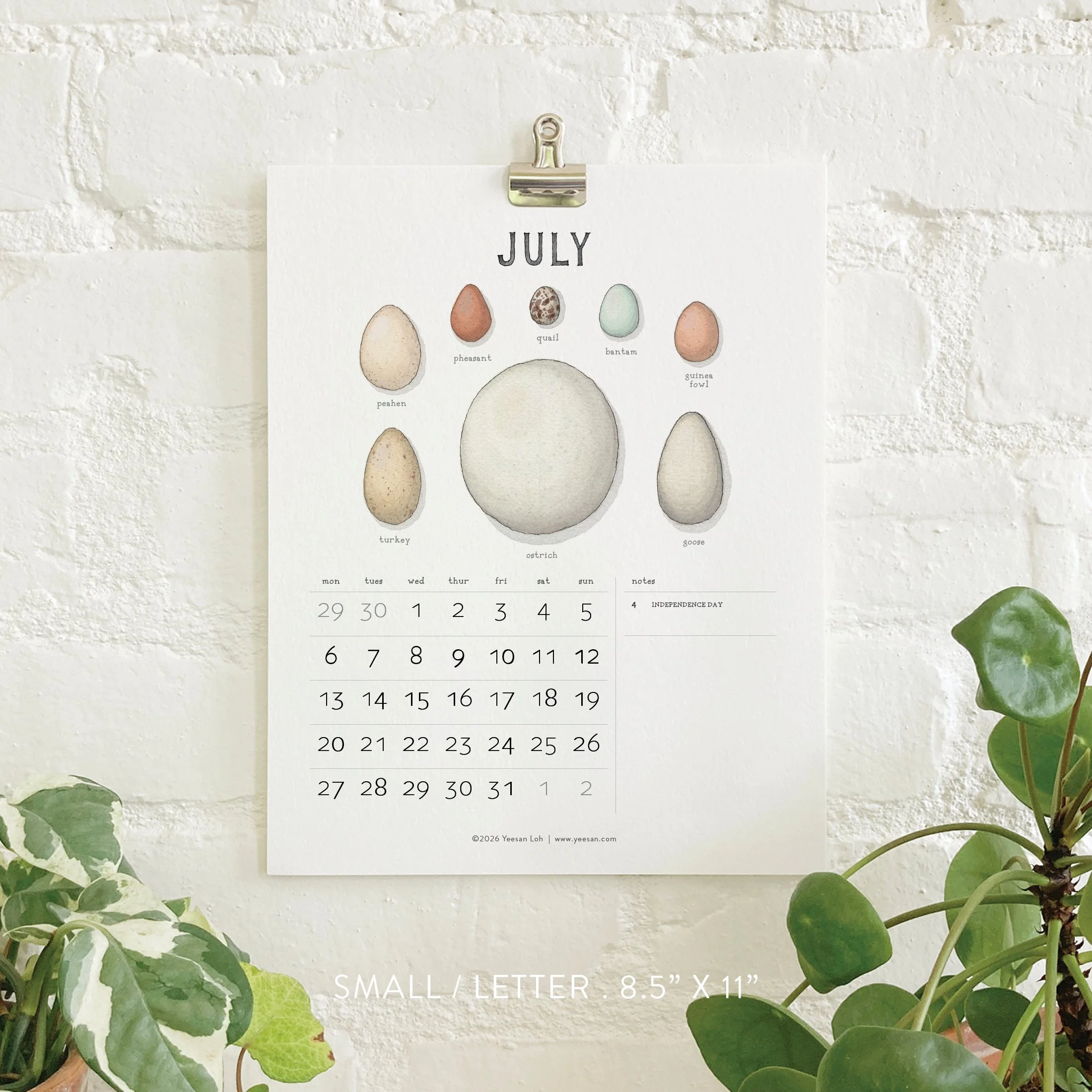 2026_shop_Calendars_Eggs8.jpg