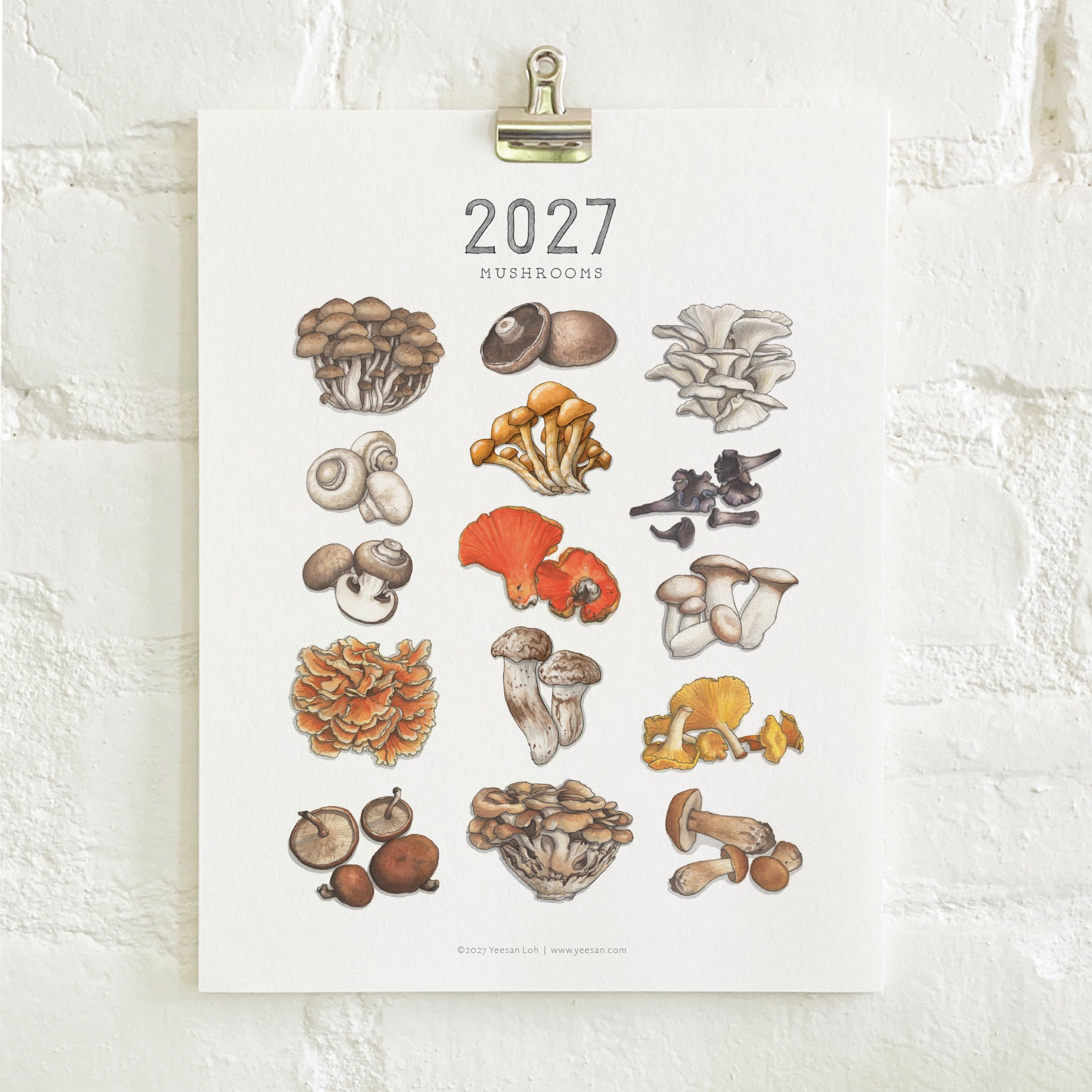 2027_shop_CAL_Mushrooms6.jpg