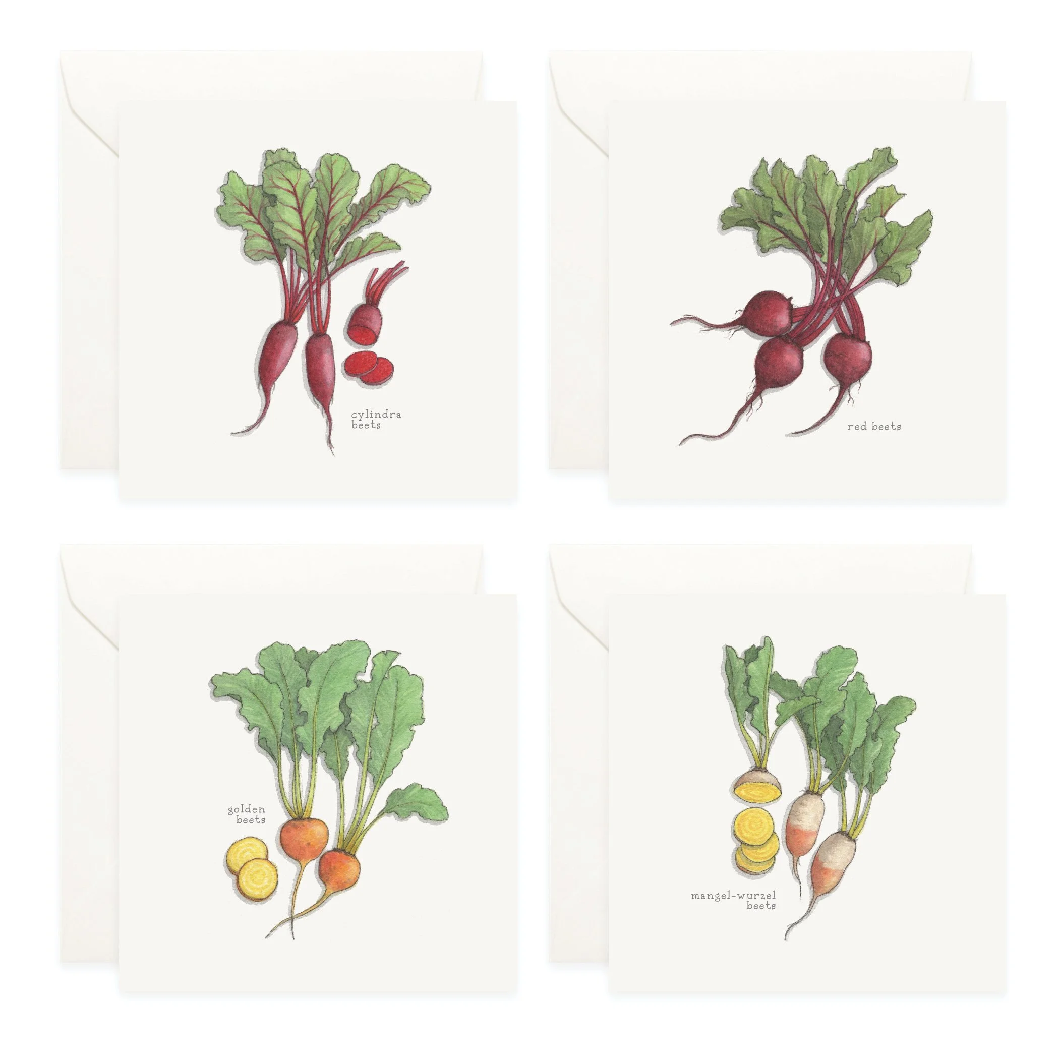 Shop_Box Set_Beets4.jpg