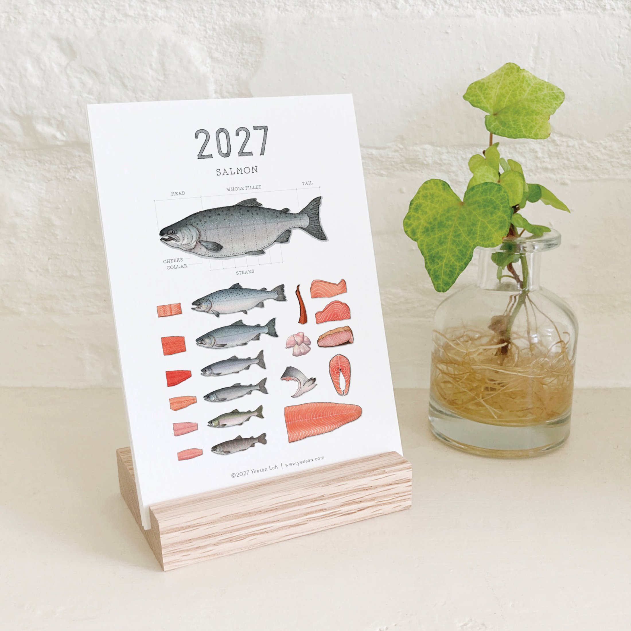 2027_shop_CAL_Salmon10.jpg