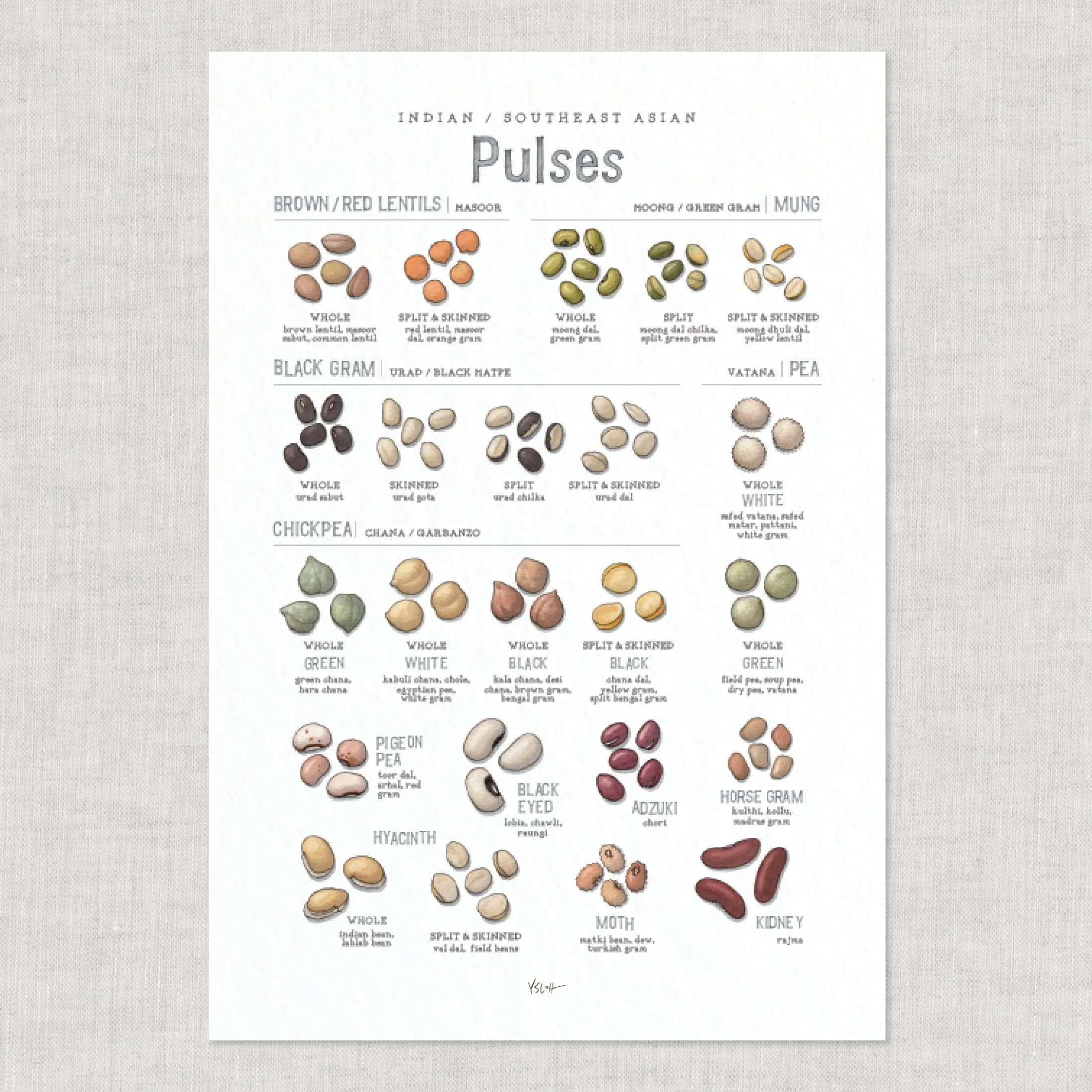 Shop_Poster_13x19_Pulses9.jpg