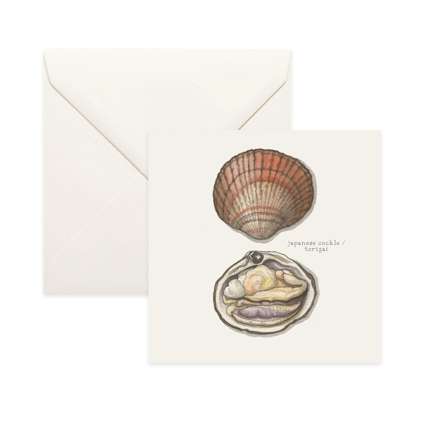 Shop_Card_Bivalves15.jpg