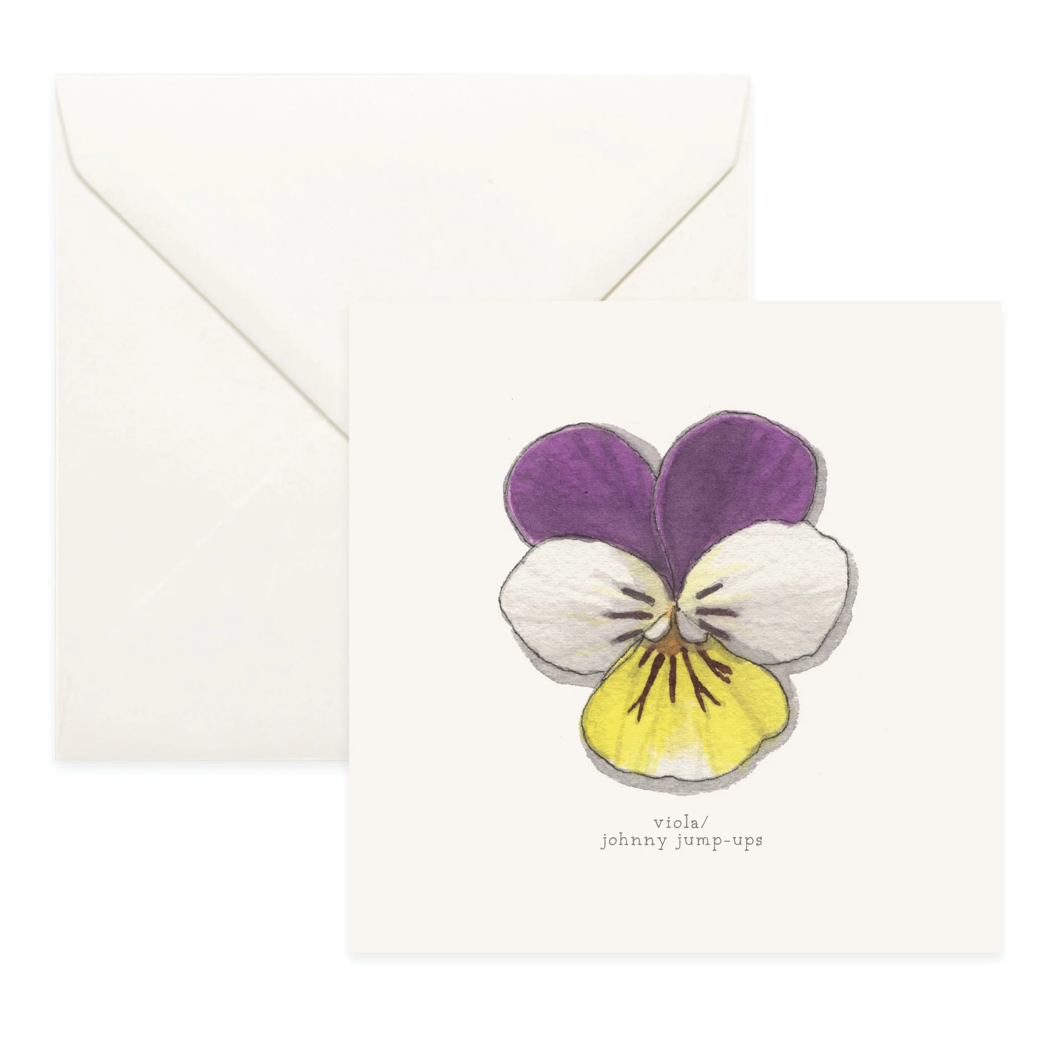 Shop_Cards_Flowers13.jpg