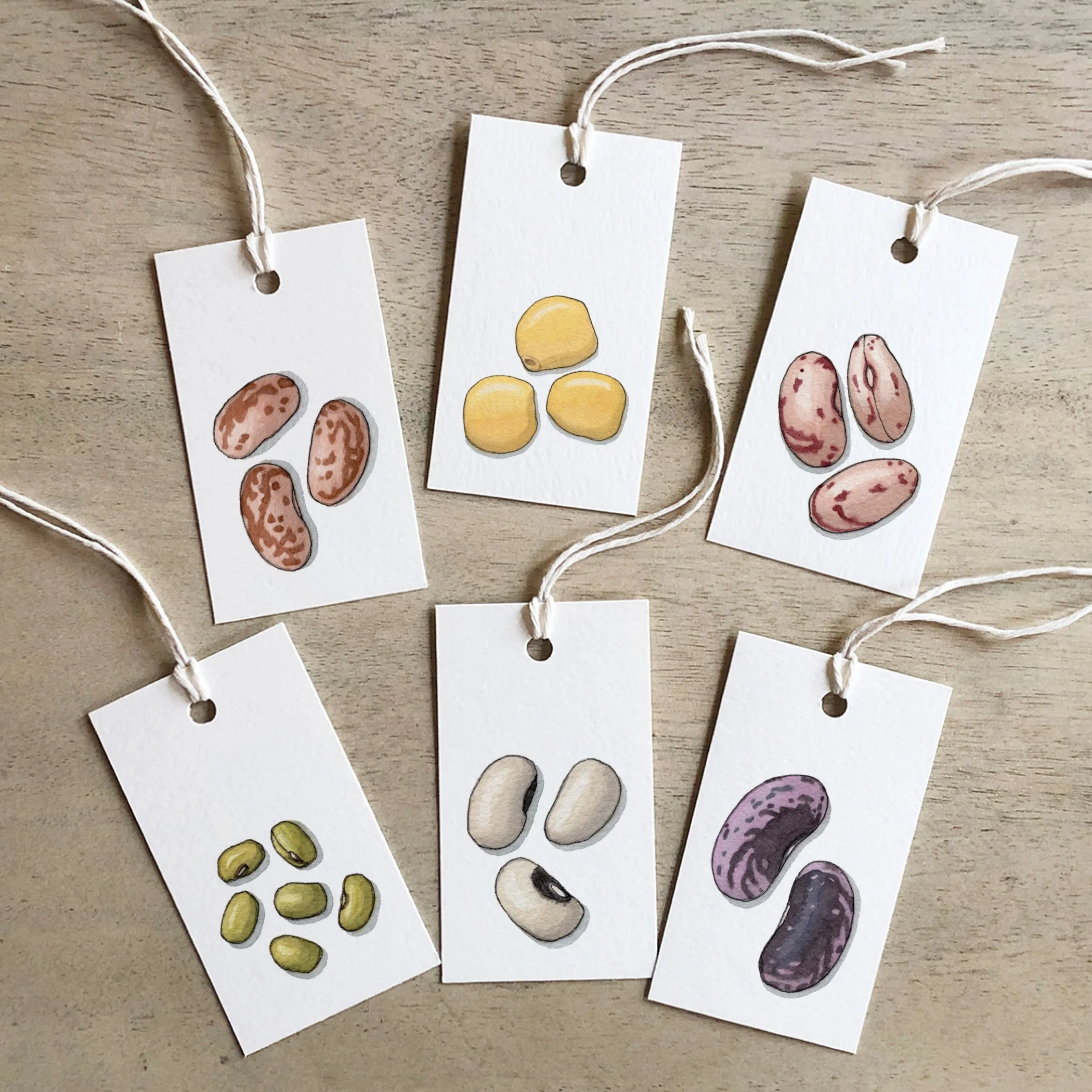 Shop_Gift Tags_Pulses2.jpg