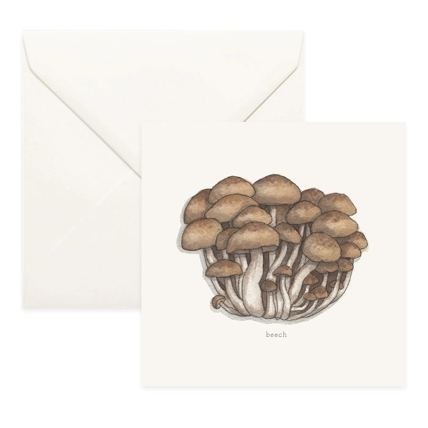 Shop_Cards_Mushrooms4.jpg (Copy)