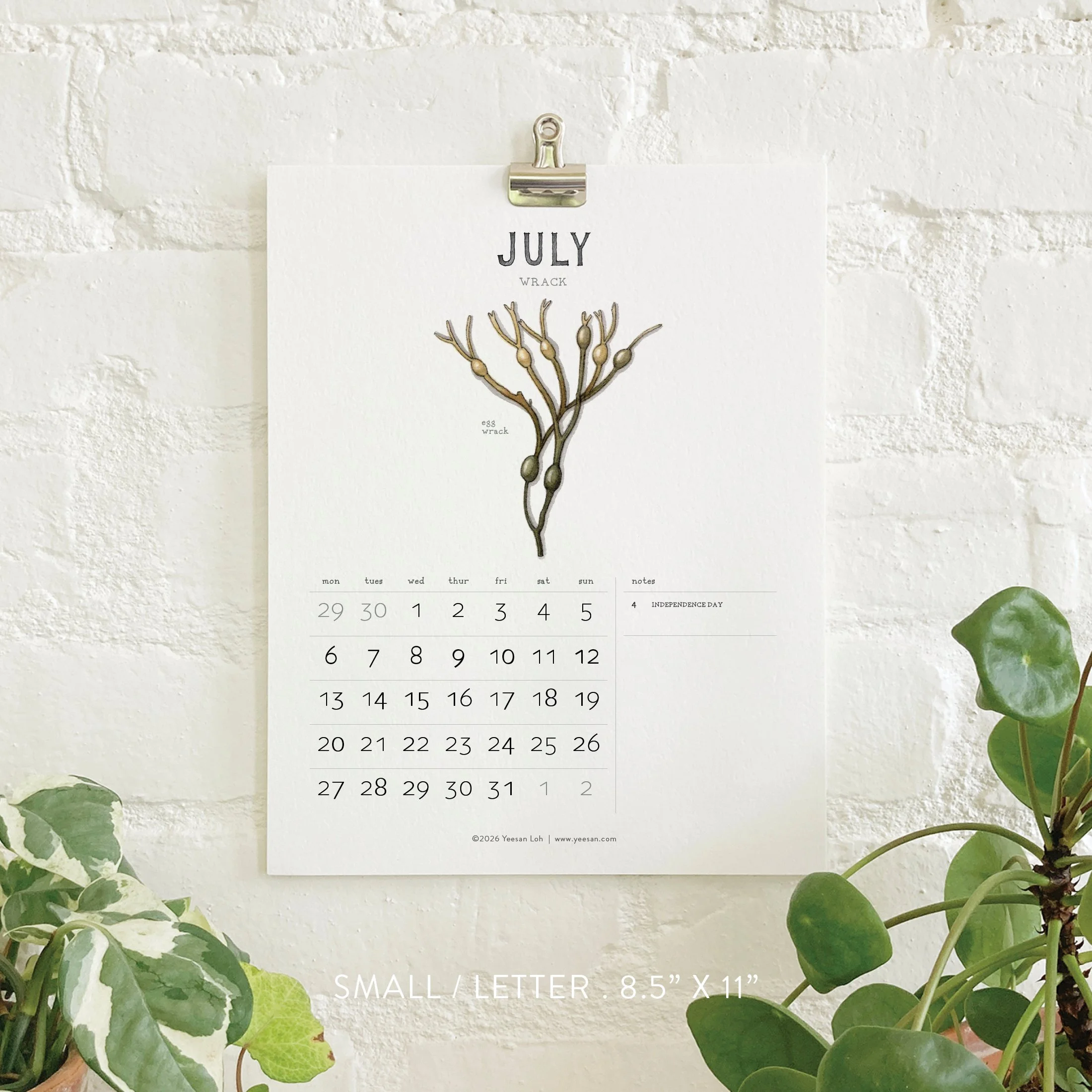 2026_shop_Calendars_Seaweed8.jpg