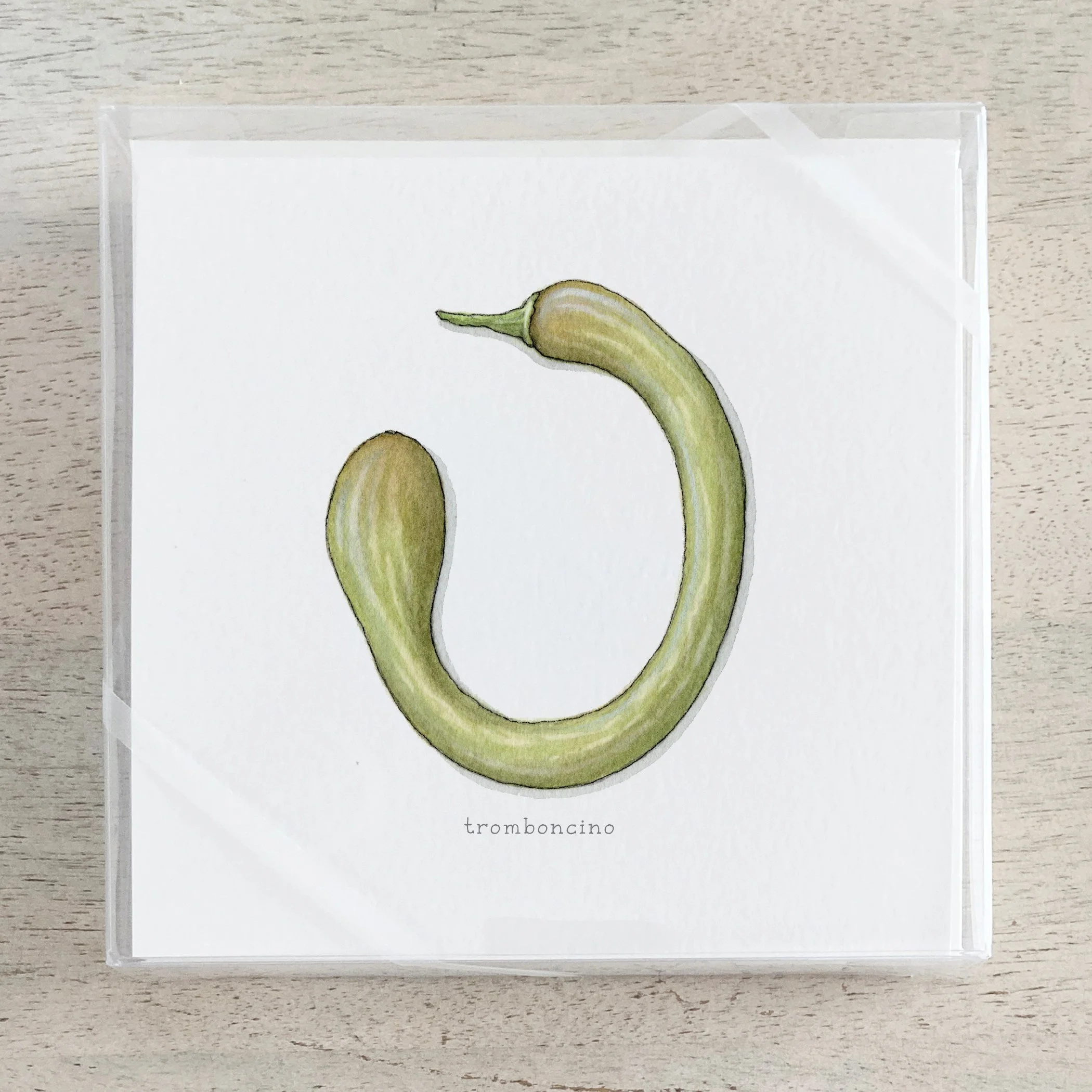 Shop_Box Set_Squash_Summer.jpg