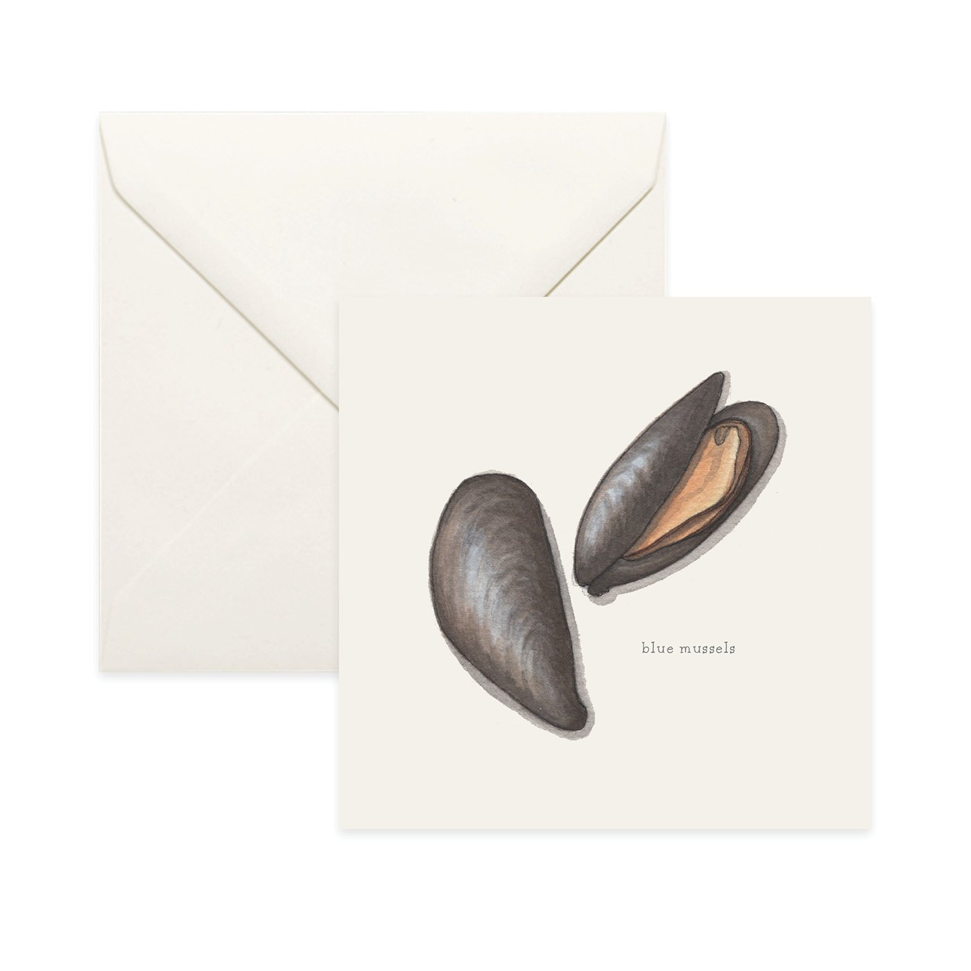 Shop_Card_Bivalves16.jpg