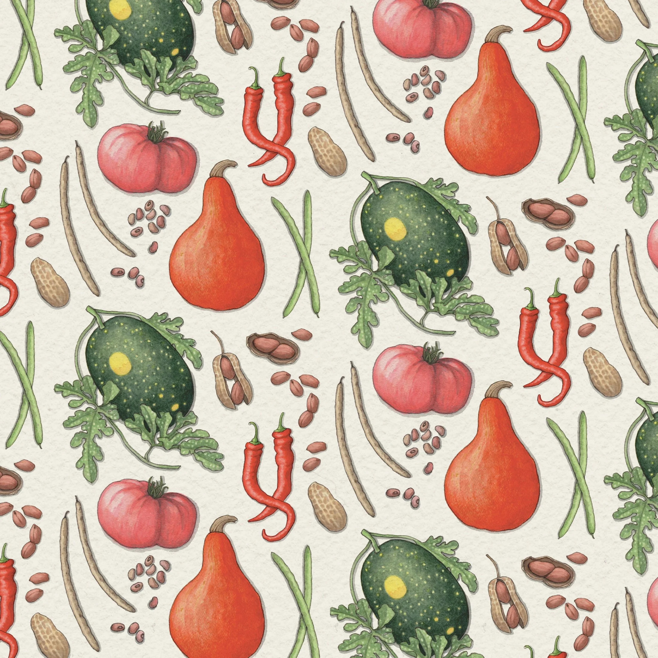 Gift Wrap | YSL x Slow Food USA