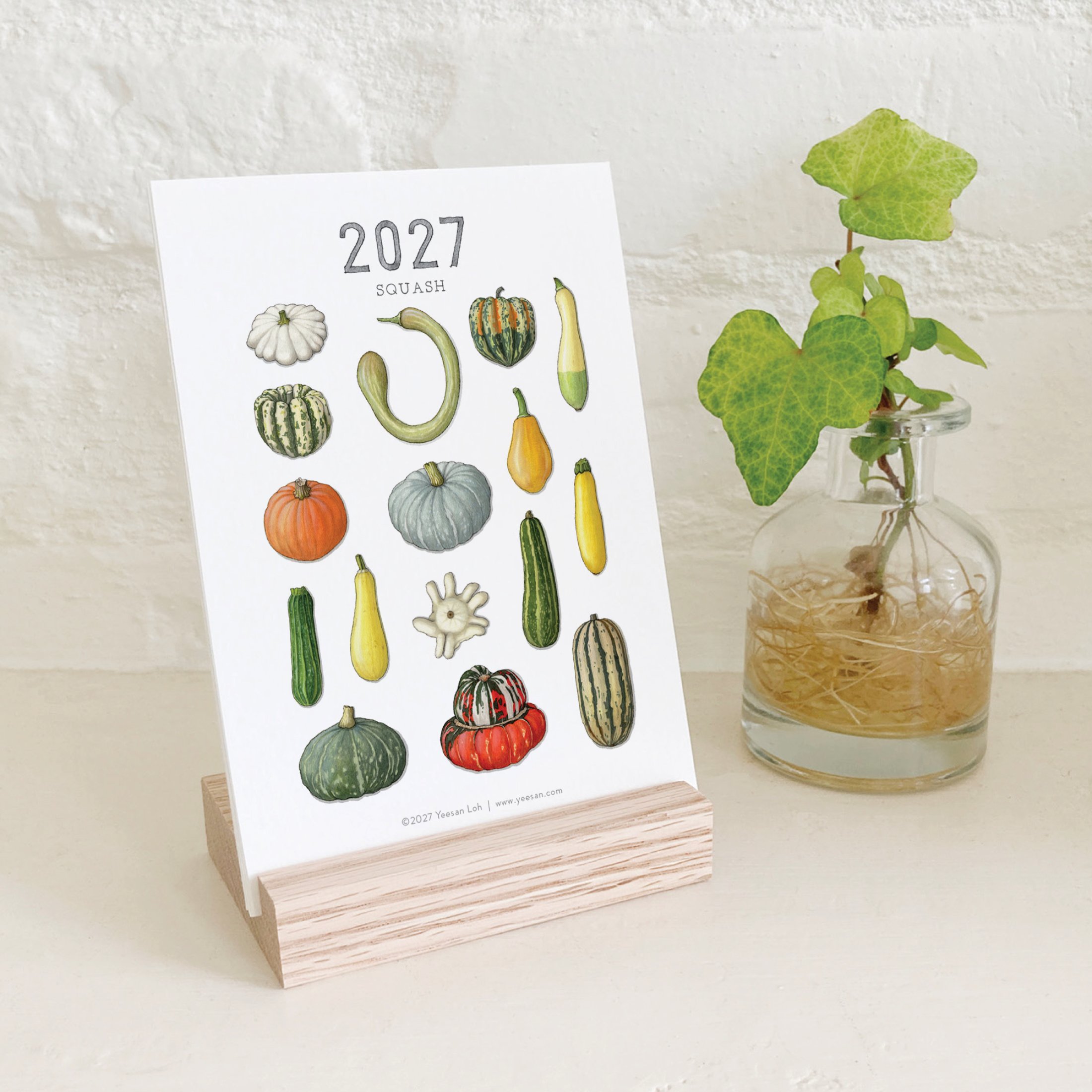 2027_shop_CAL_Squash10.jpg