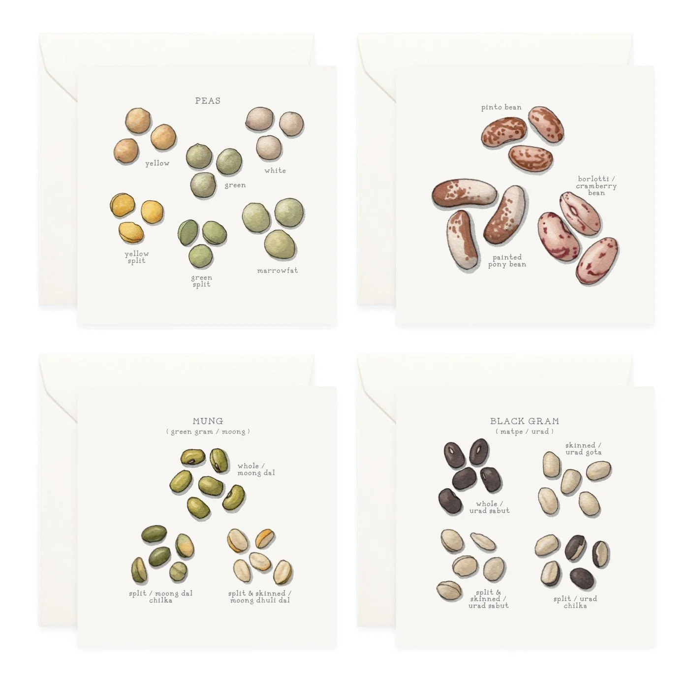 Shop_Box Set_Pulses4.jpg