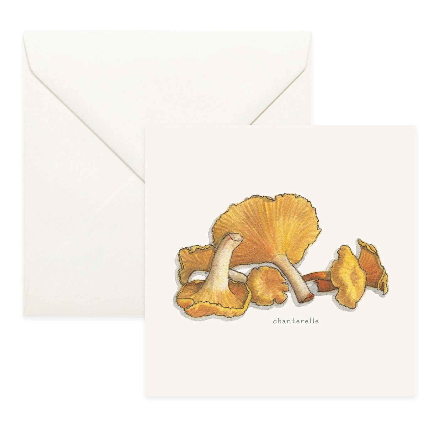 Shop_Cards_Mushrooms8.jpg