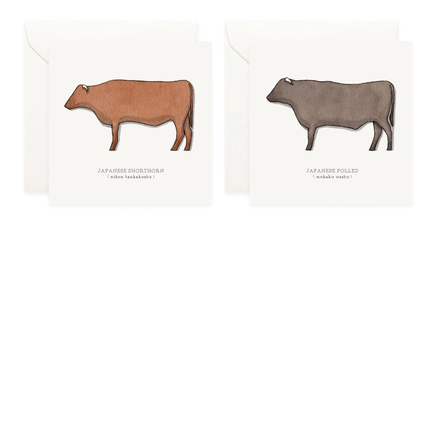 Shop_Box Set_Wagyu5.jpg