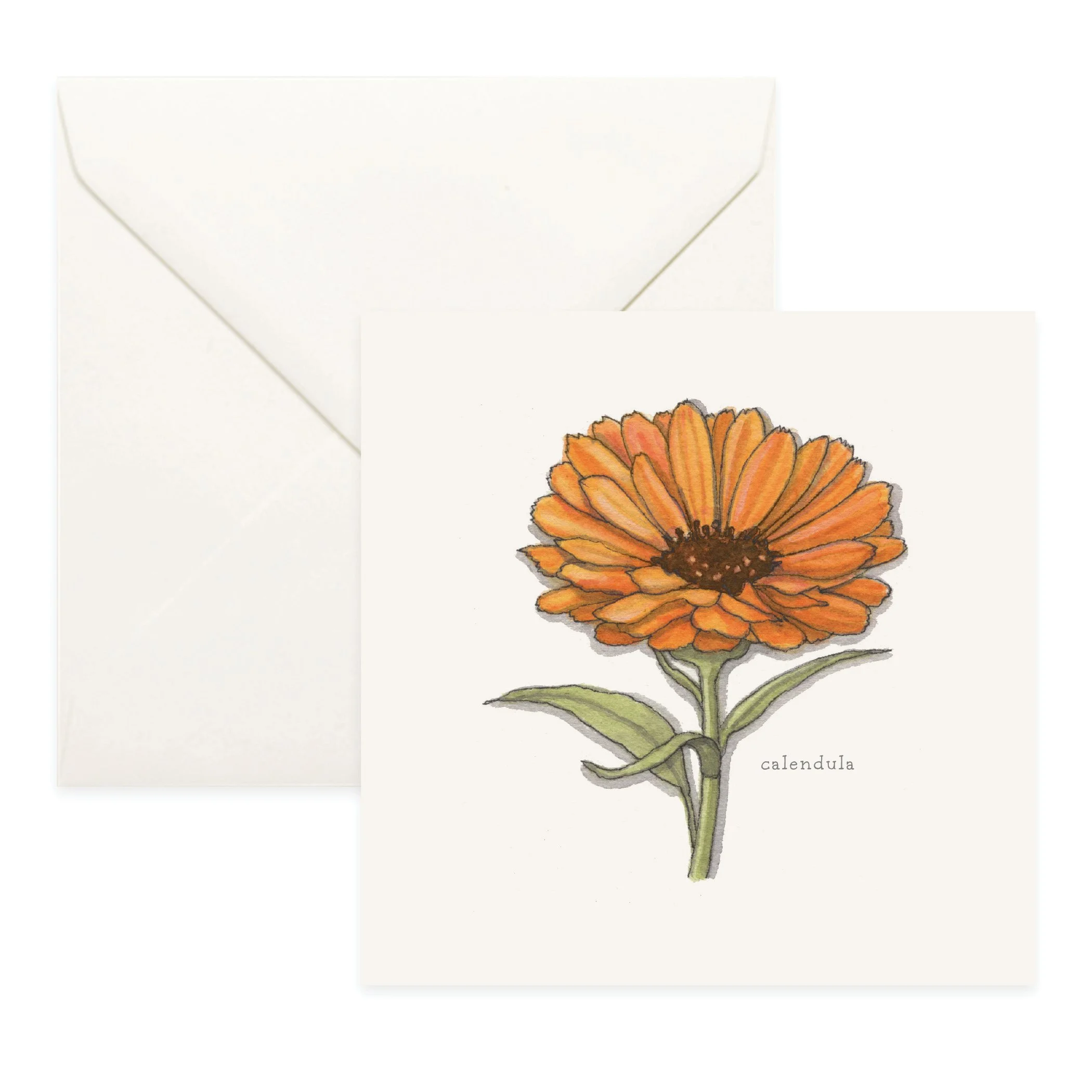 Shop_Cards_Flowers4.jpg